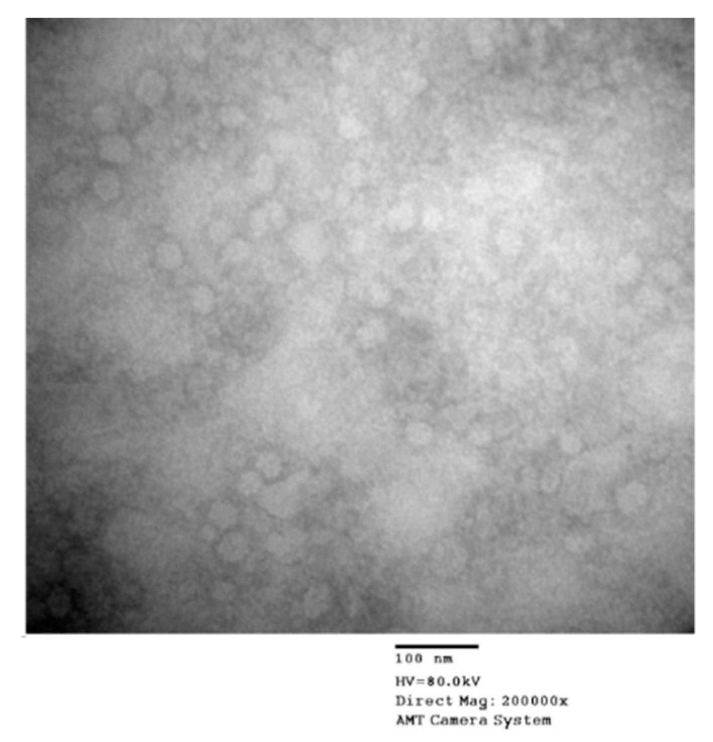 Vaccines 09 00098 g002 Vaccines 09 00098 g002