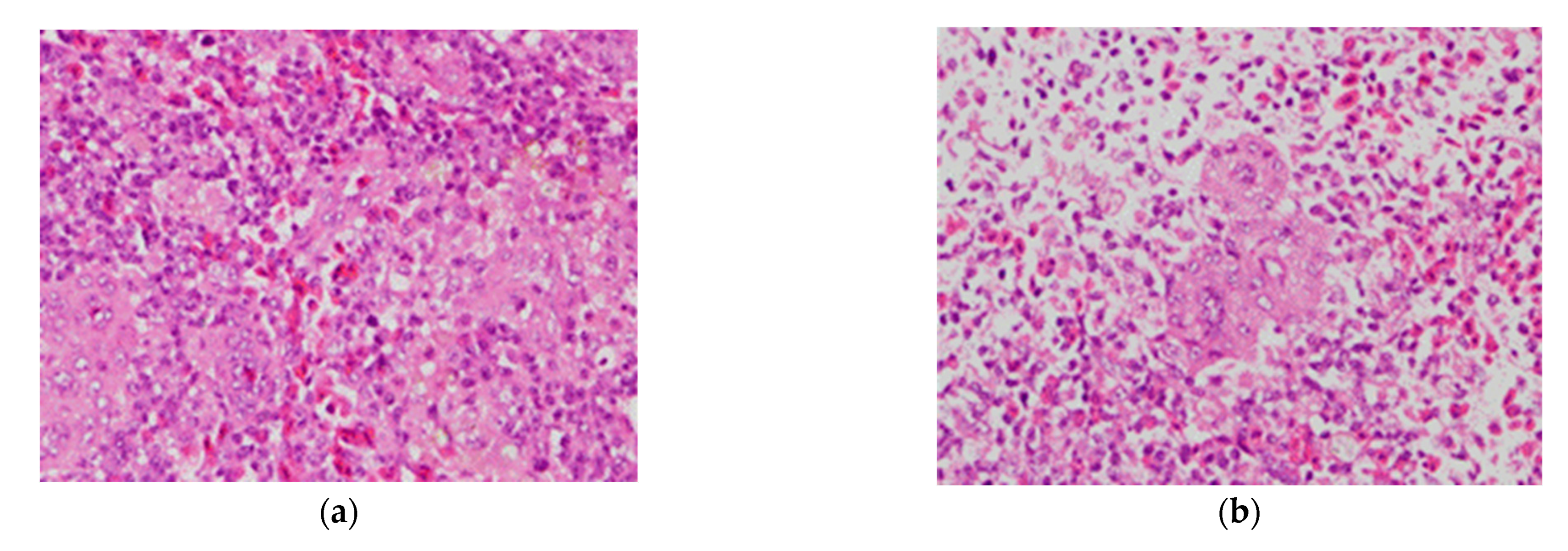 Vaccines 09 00098 g006 Vaccines 09 00098 g006