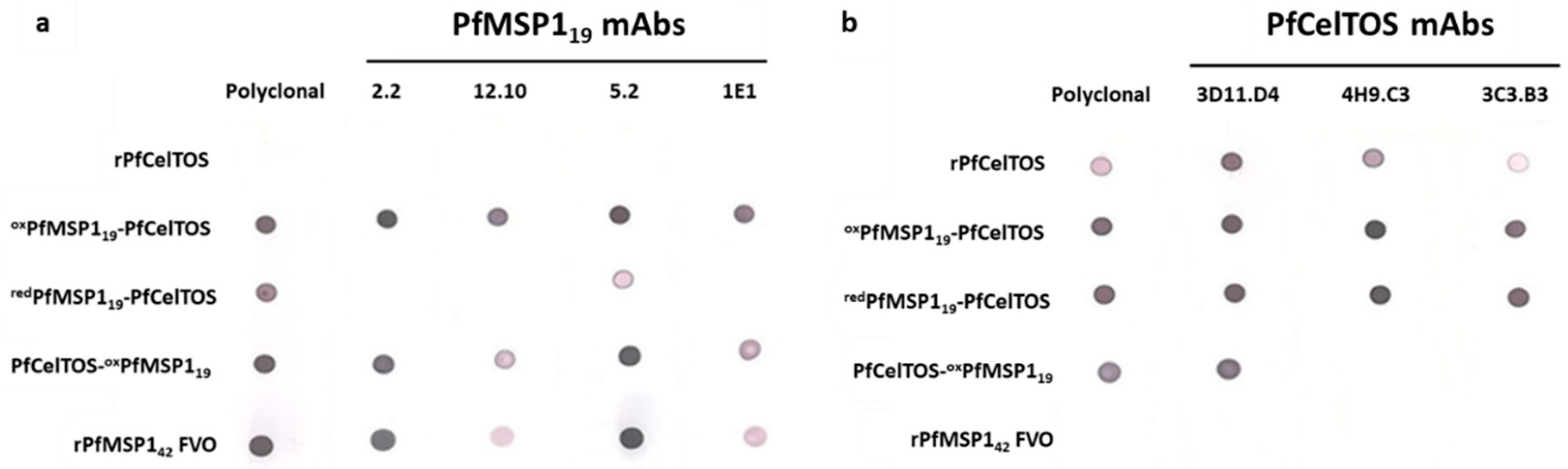 Vaccines 09 00103 g002 Vaccines 09 00103 g002