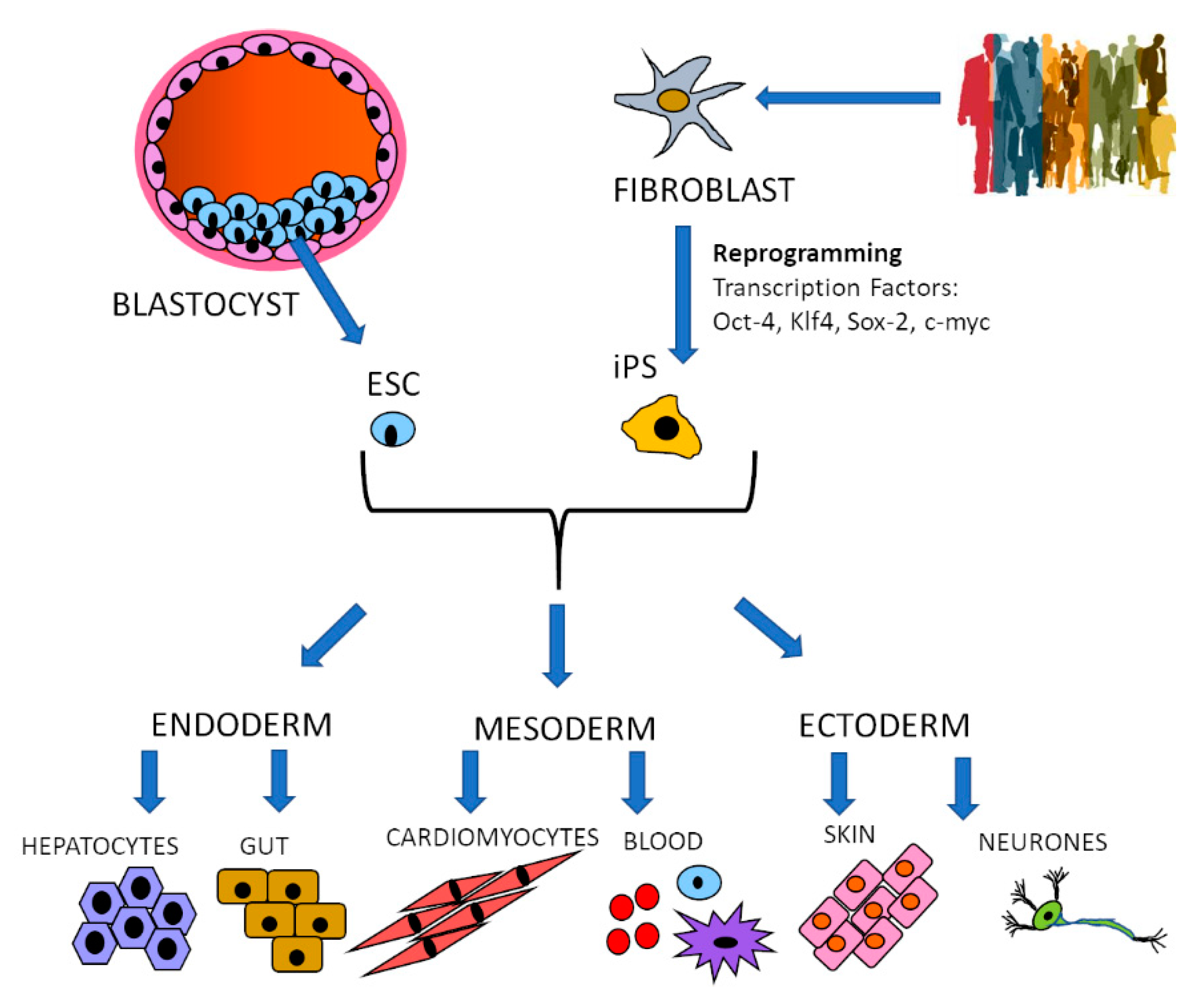 What is Mode of Transmission : Unveiling the Secrets of Disease Spreading