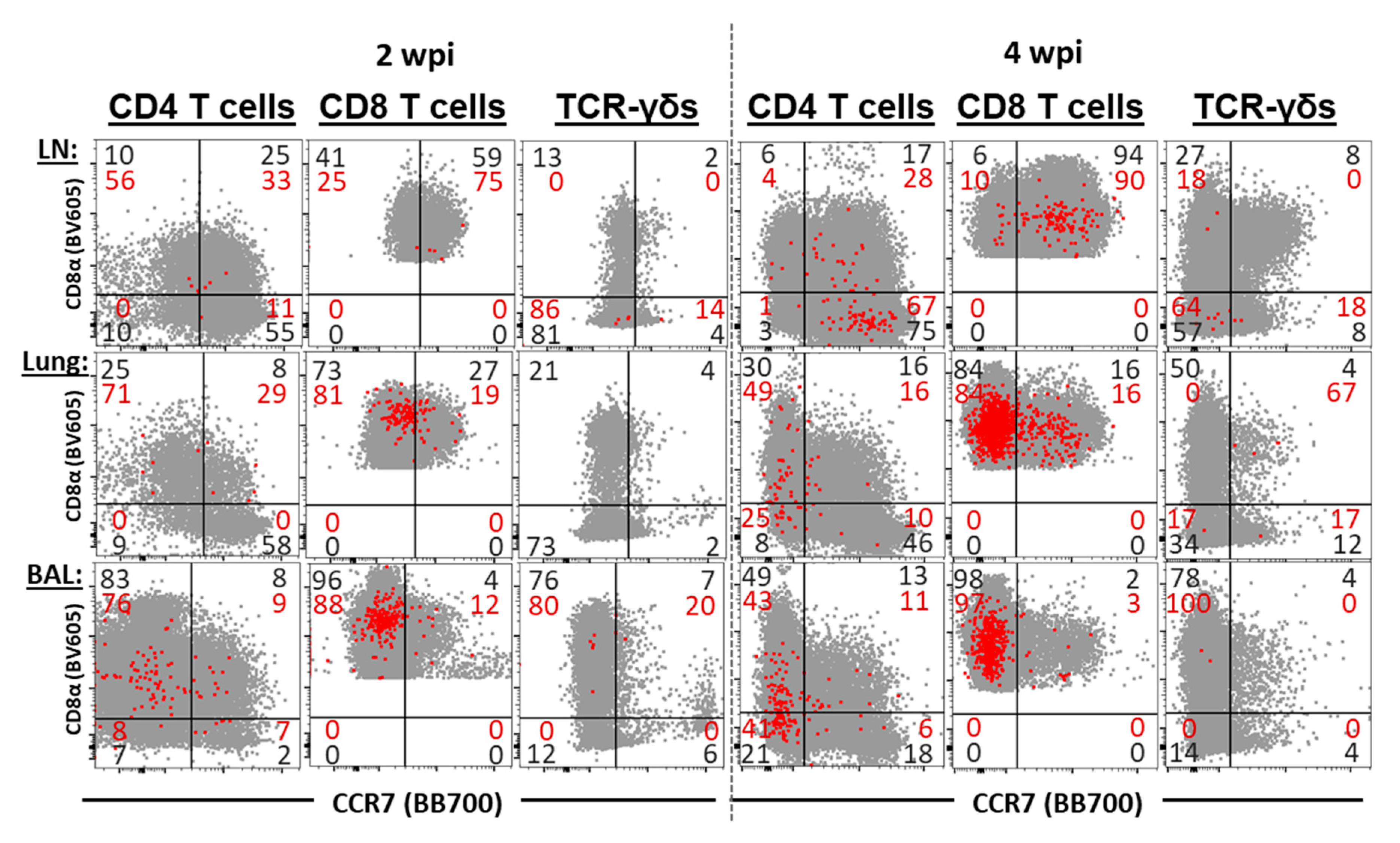 Vaccines 09 00106 g007
