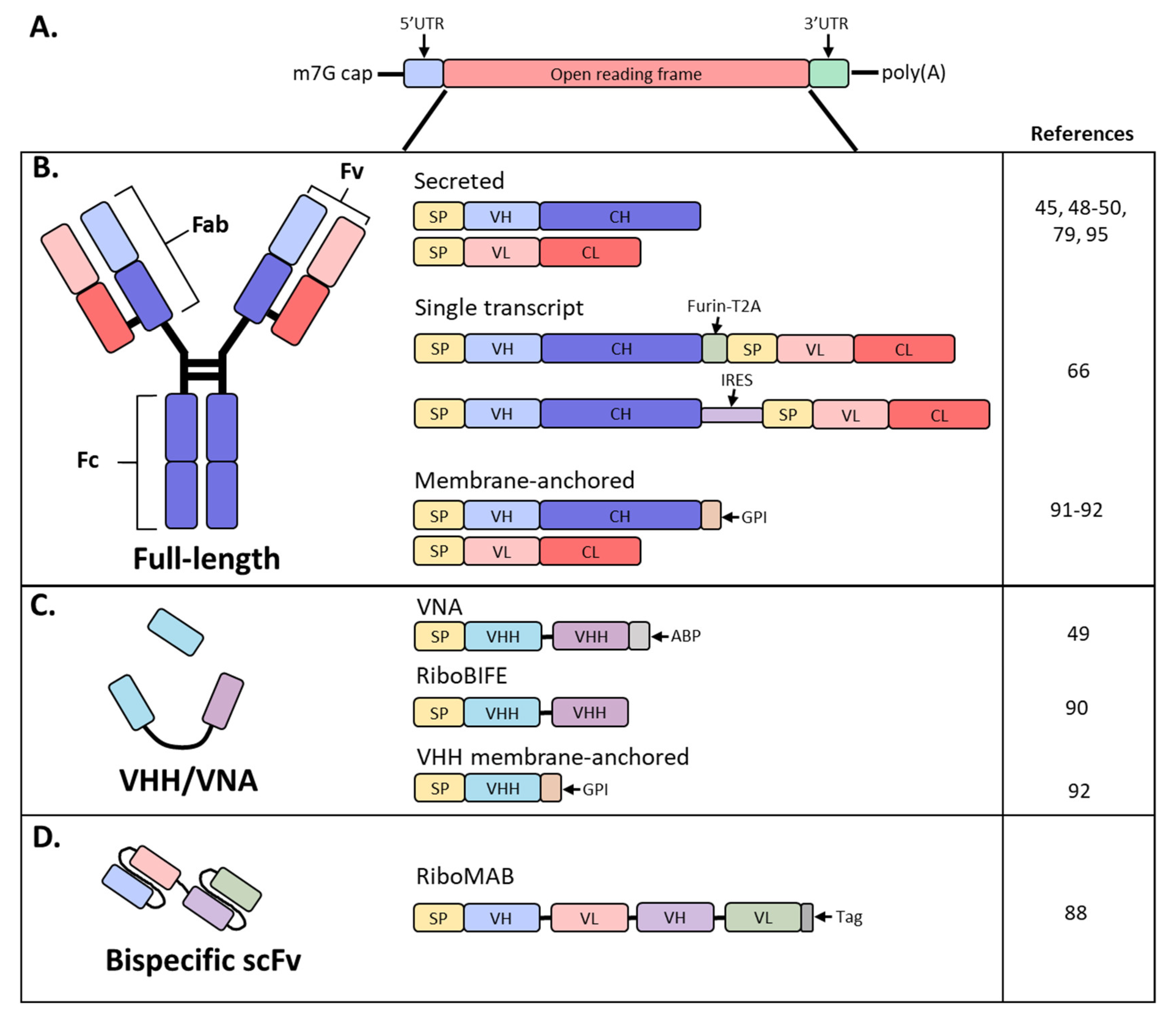 Vaccines 09 00108 g001