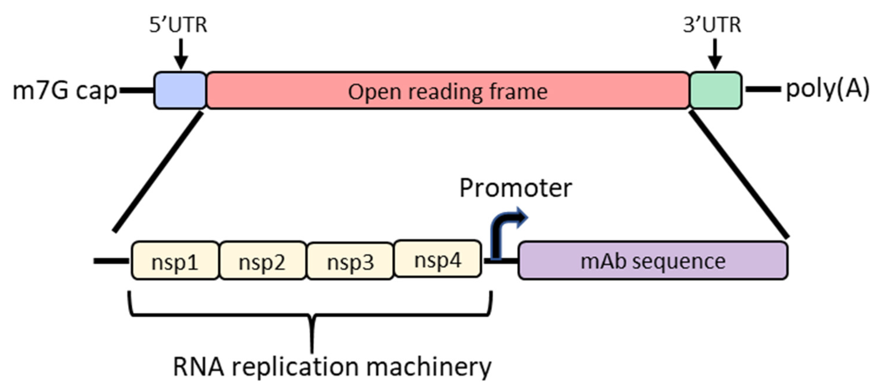 Vaccines 09 00108 g002