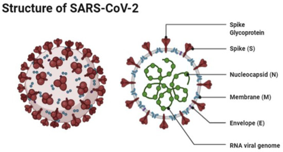 Vaccines 09 00120 g001 550