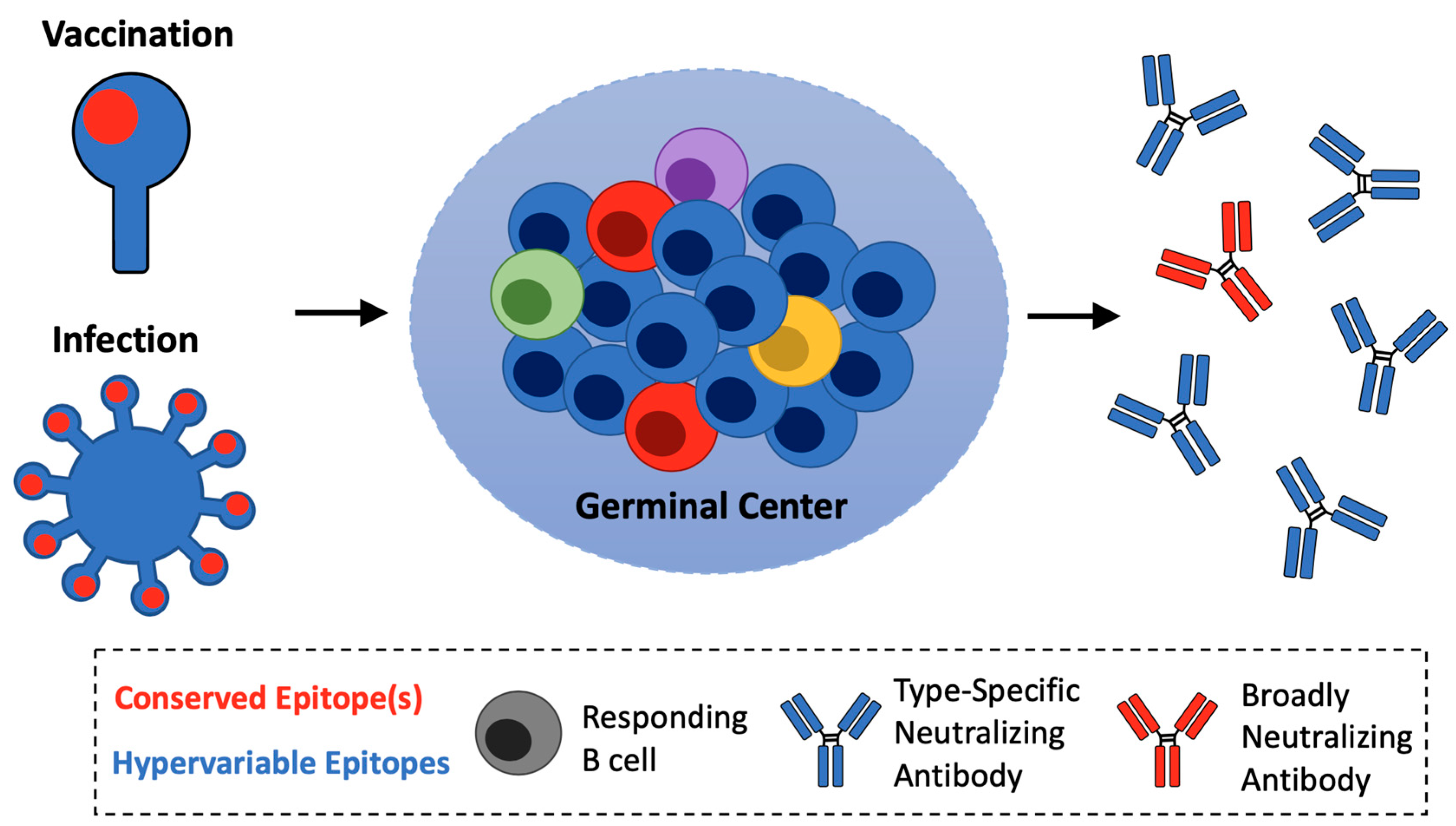 Vaccines 09 00125 g002 Vaccines 09 00125 g002