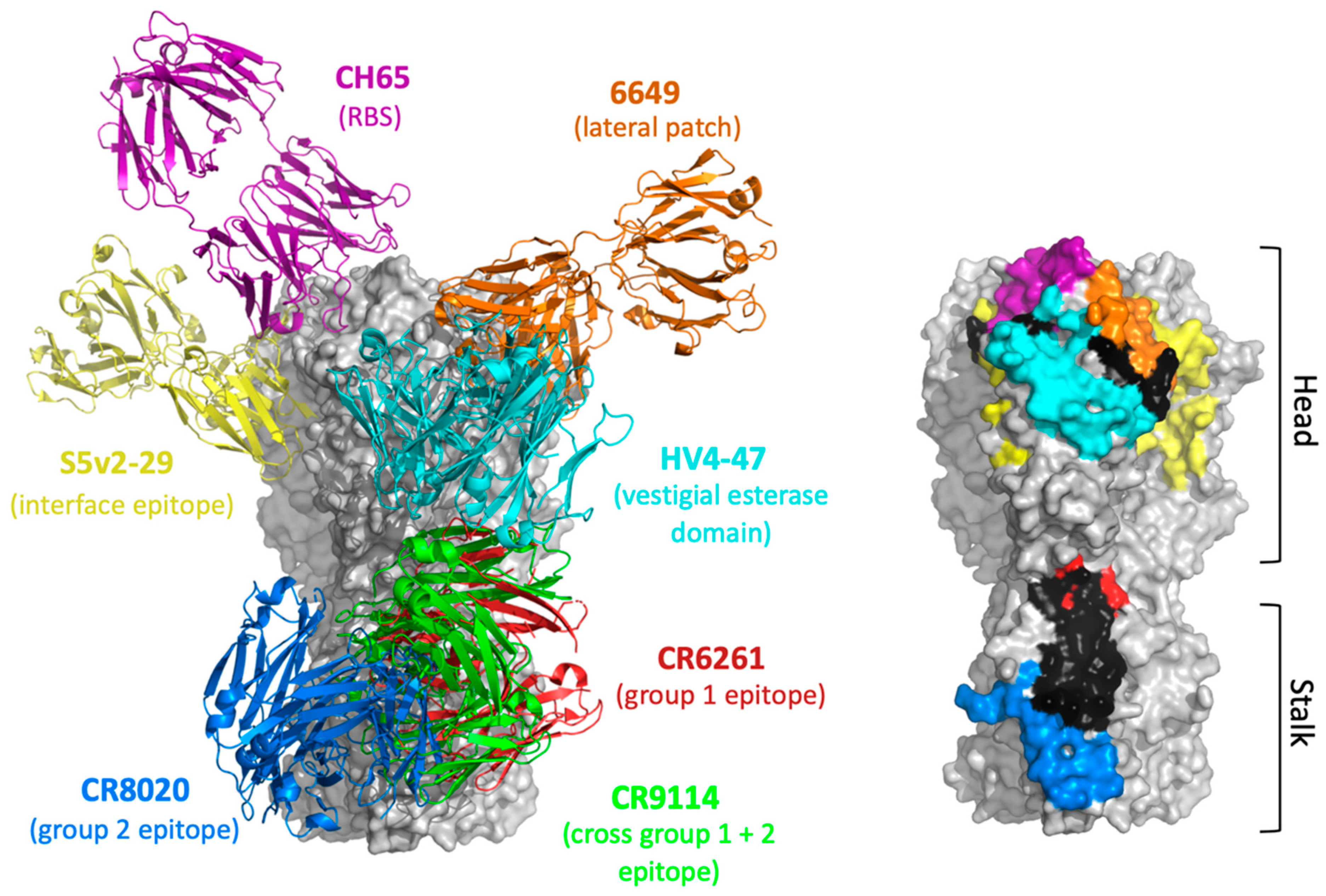 Vaccines 09 00125 g003 Vaccines 09 00125 g003
