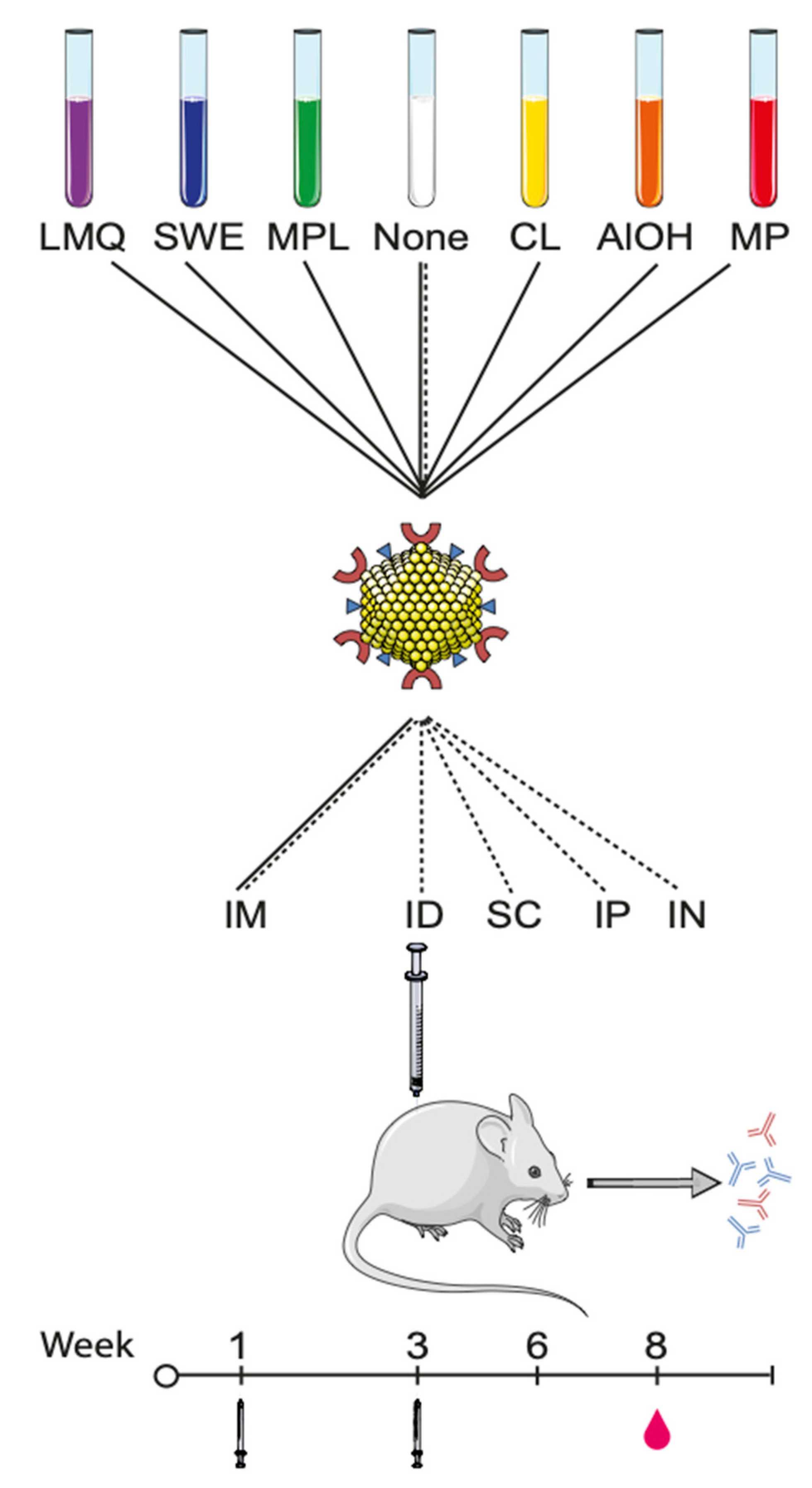 Vaccines 09 00131 g001 Vaccines 09 00131 g001