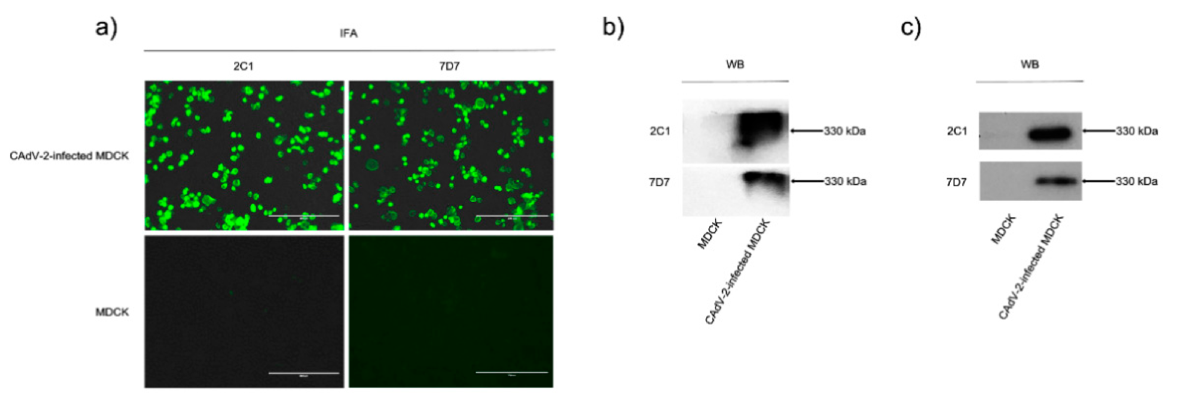 Vaccines 09 00135 g001 Vaccines 09 00135 g001