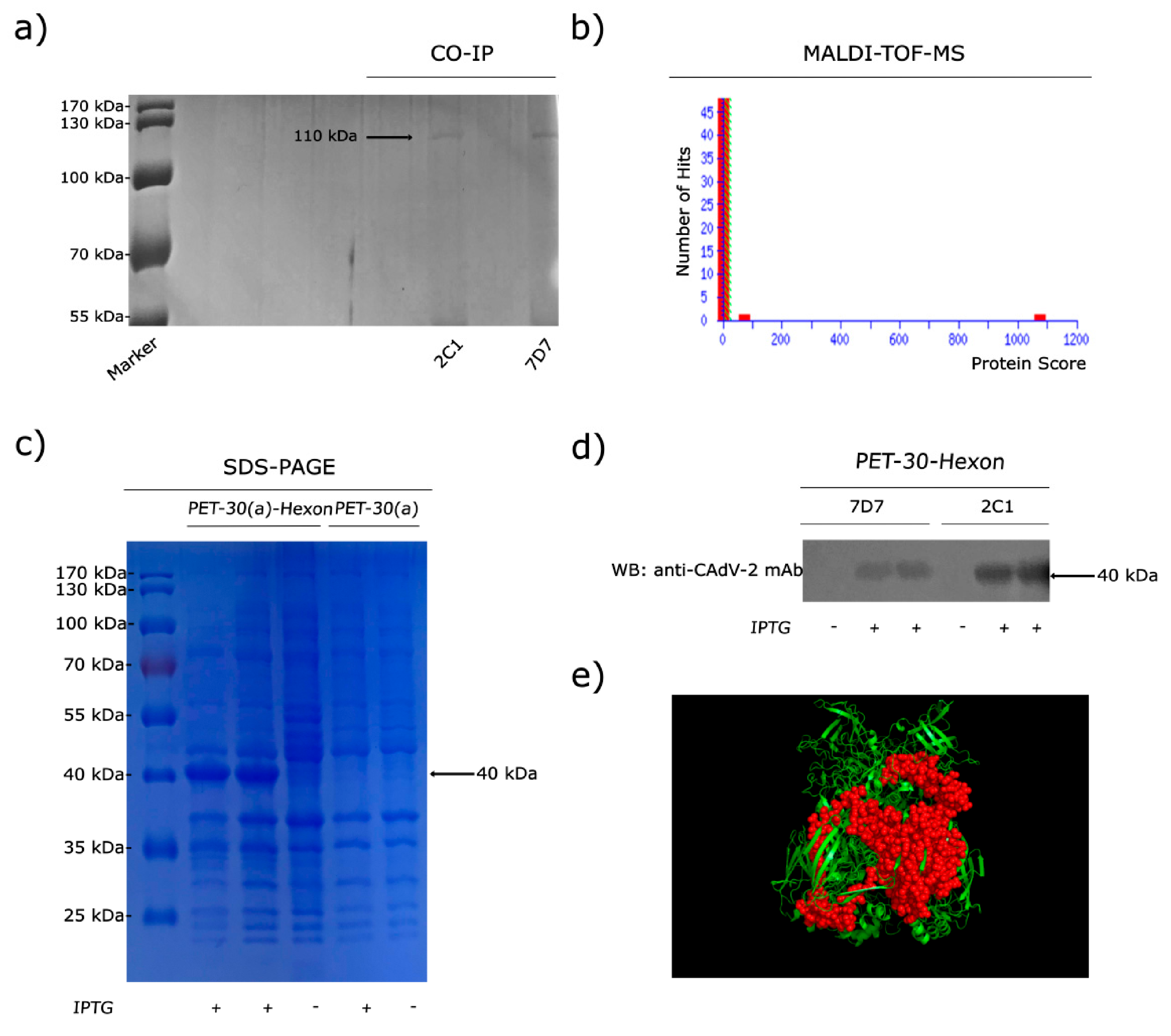 Vaccines 09 00135 g002 Vaccines 09 00135 g002