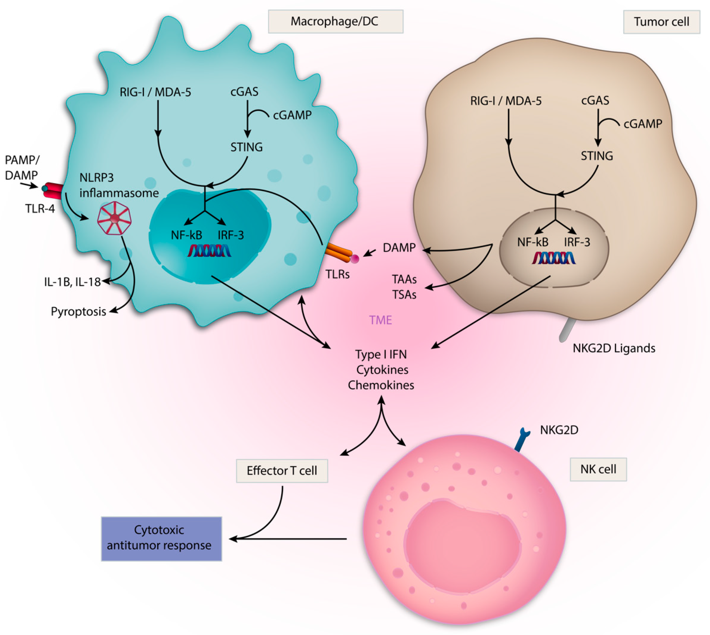 Vaccines 09 00138 g002 Vaccines 09 00138 g002