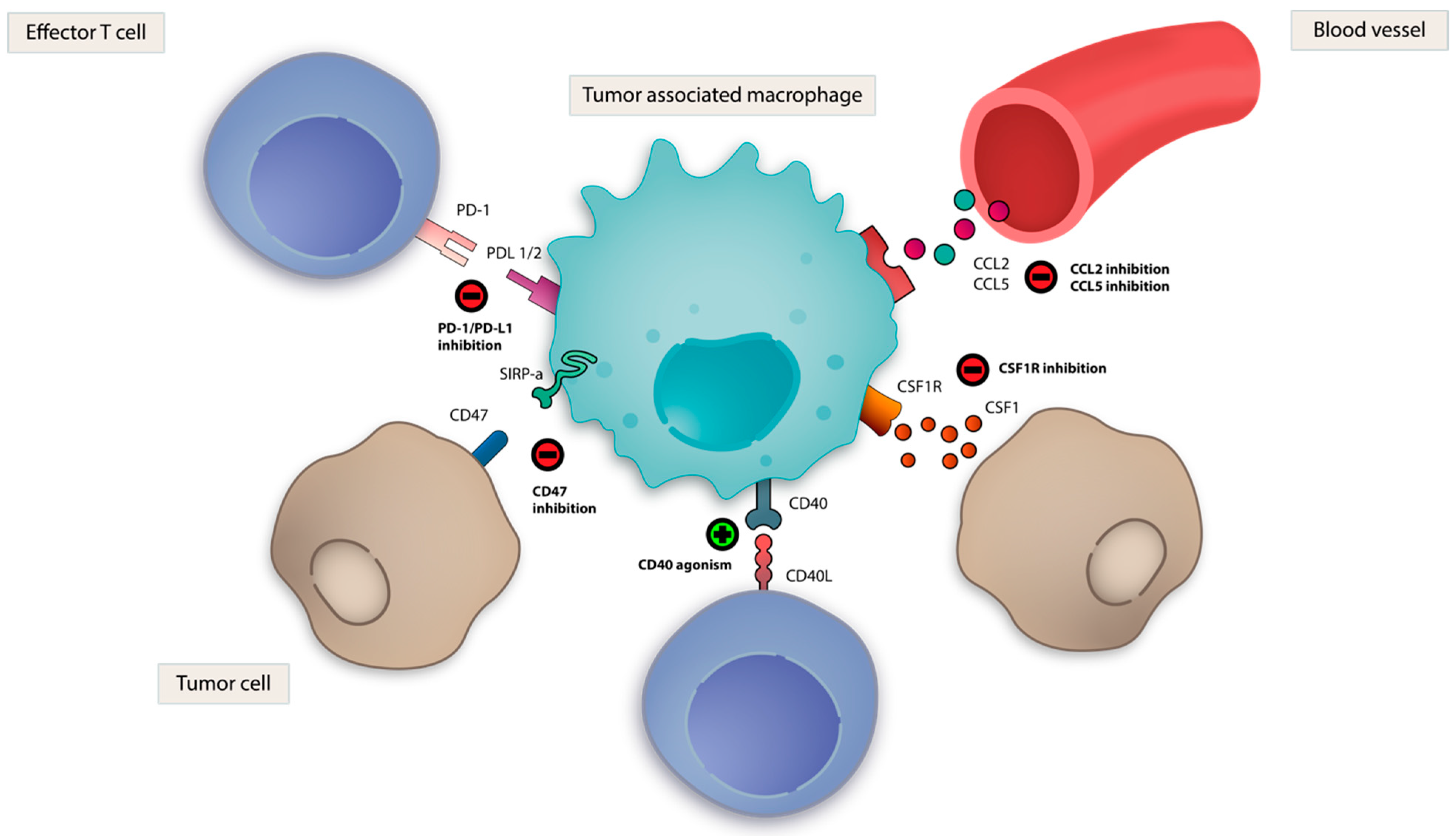 Vaccines 09 00138 g003 Vaccines 09 00138 g003