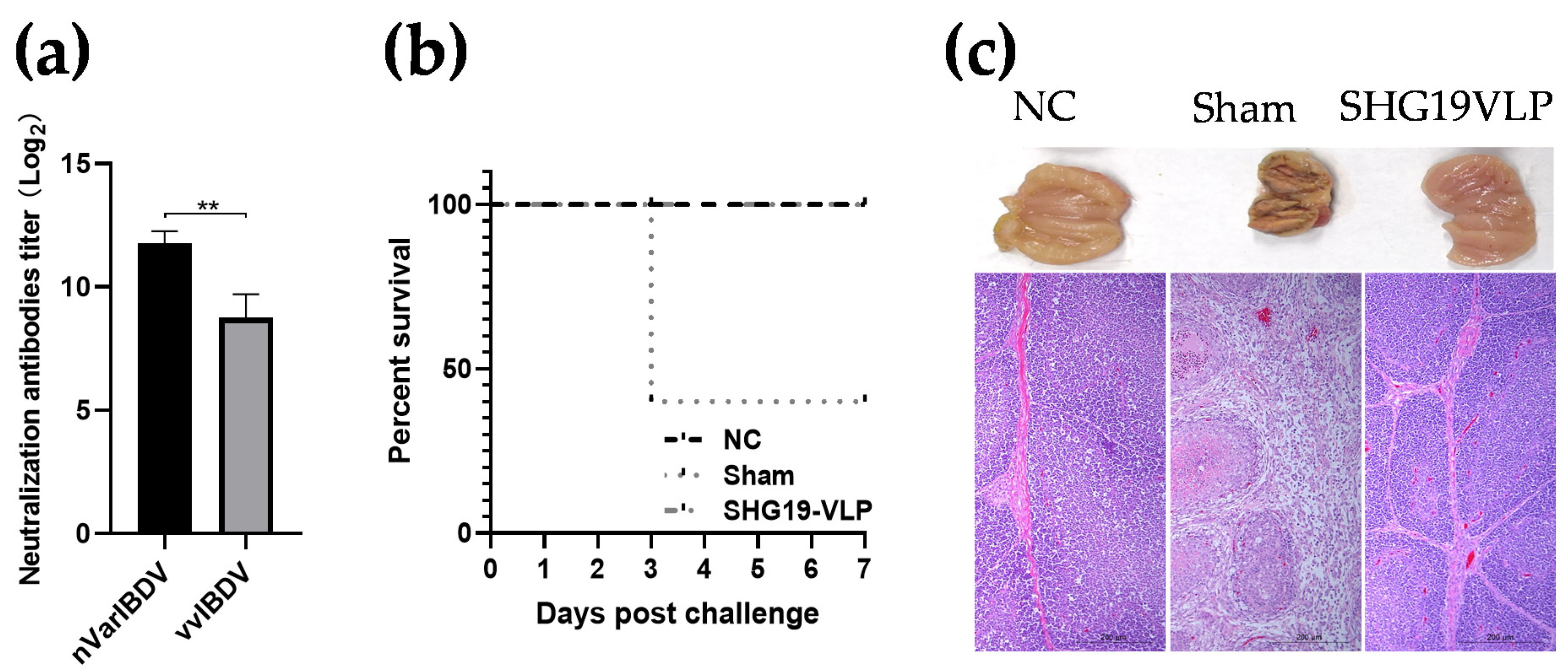 Vaccines 09 00142 g003 Vaccines 09 00142 g003