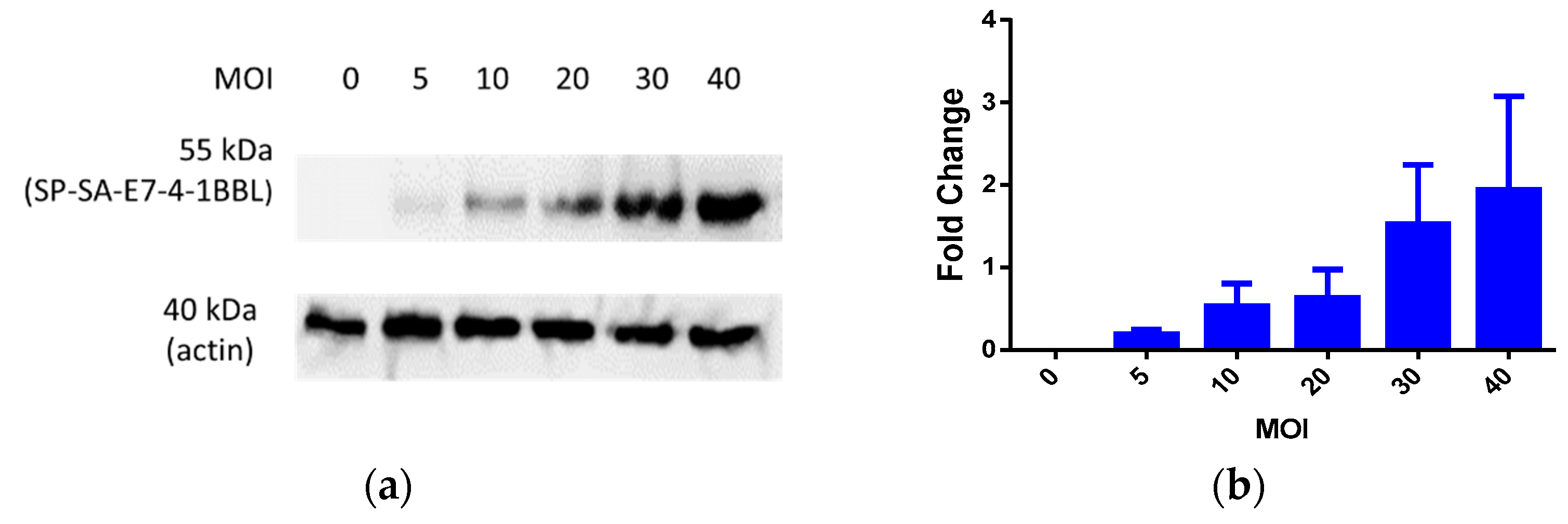 Vaccines 09 00149 g001