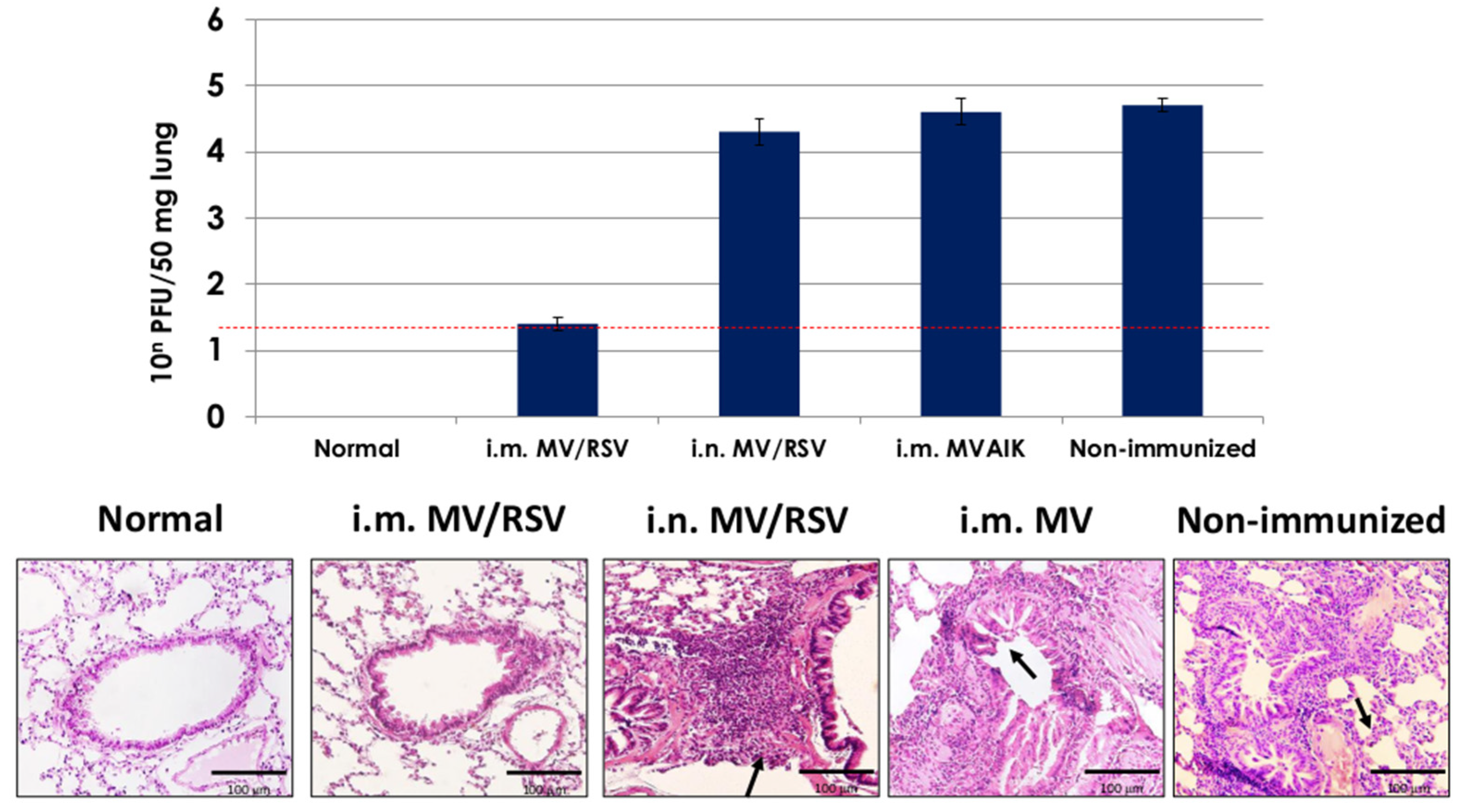 Vaccines 09 00156 g007 Vaccines 09 00156 g007
