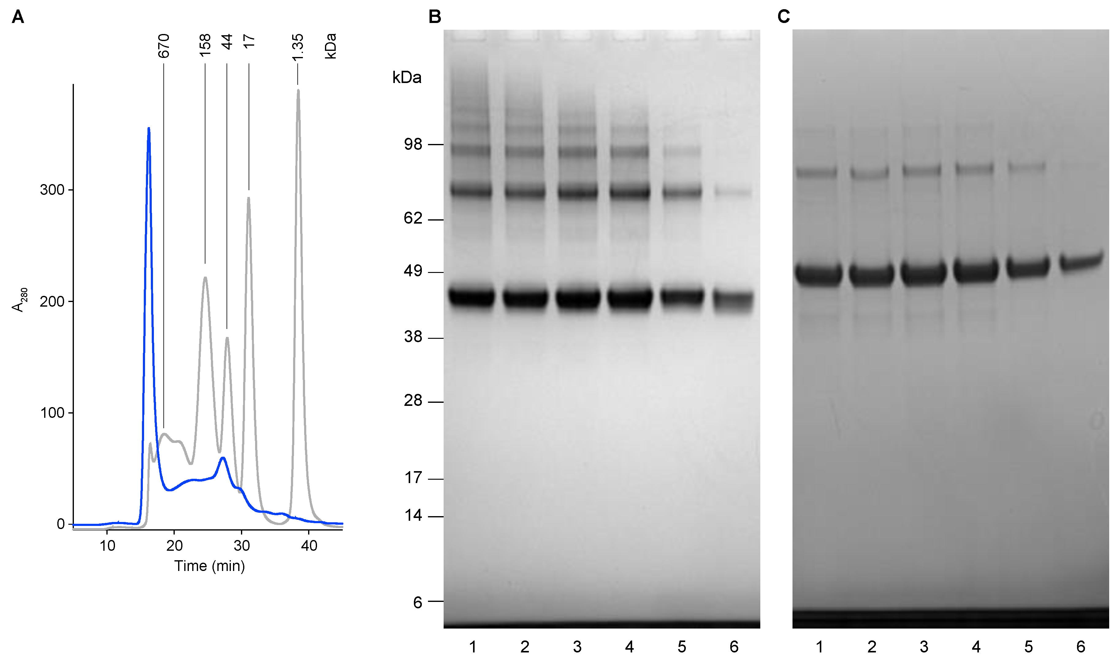 Vaccines 09 00157 g002 Vaccines 09 00157 g002