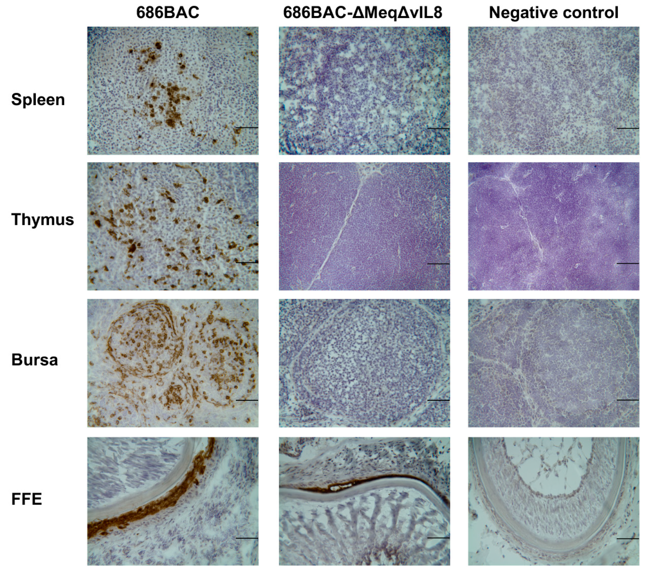 Vaccines 09 00159 g003
