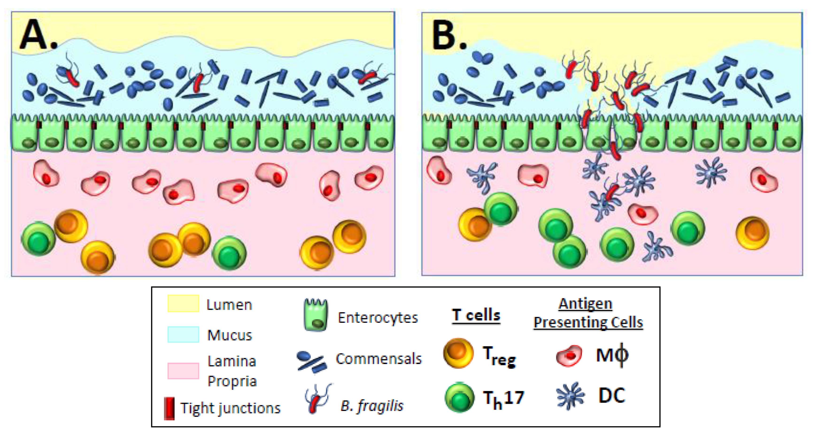 Vaccines 09 00162 g001 Vaccines 09 00162 g001