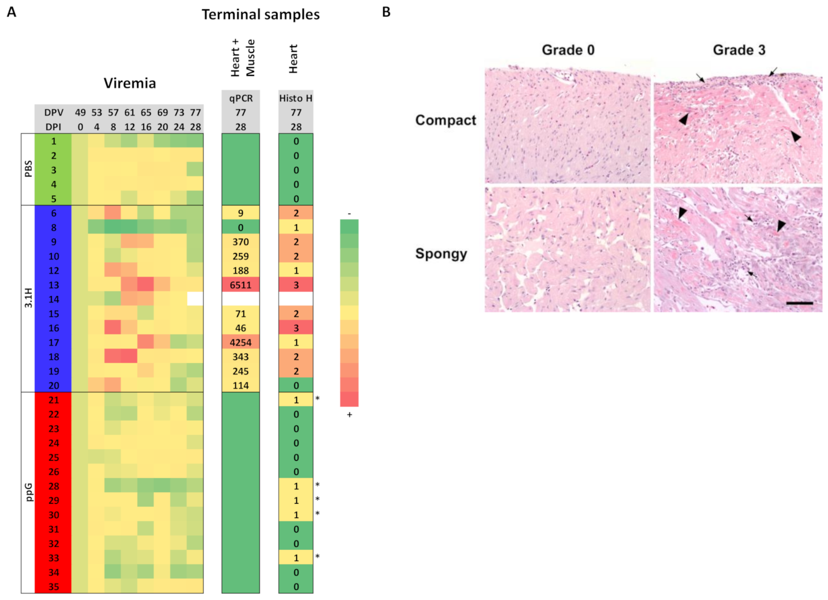 Vaccines 09 00163 g003 Vaccines 09 00163 g003