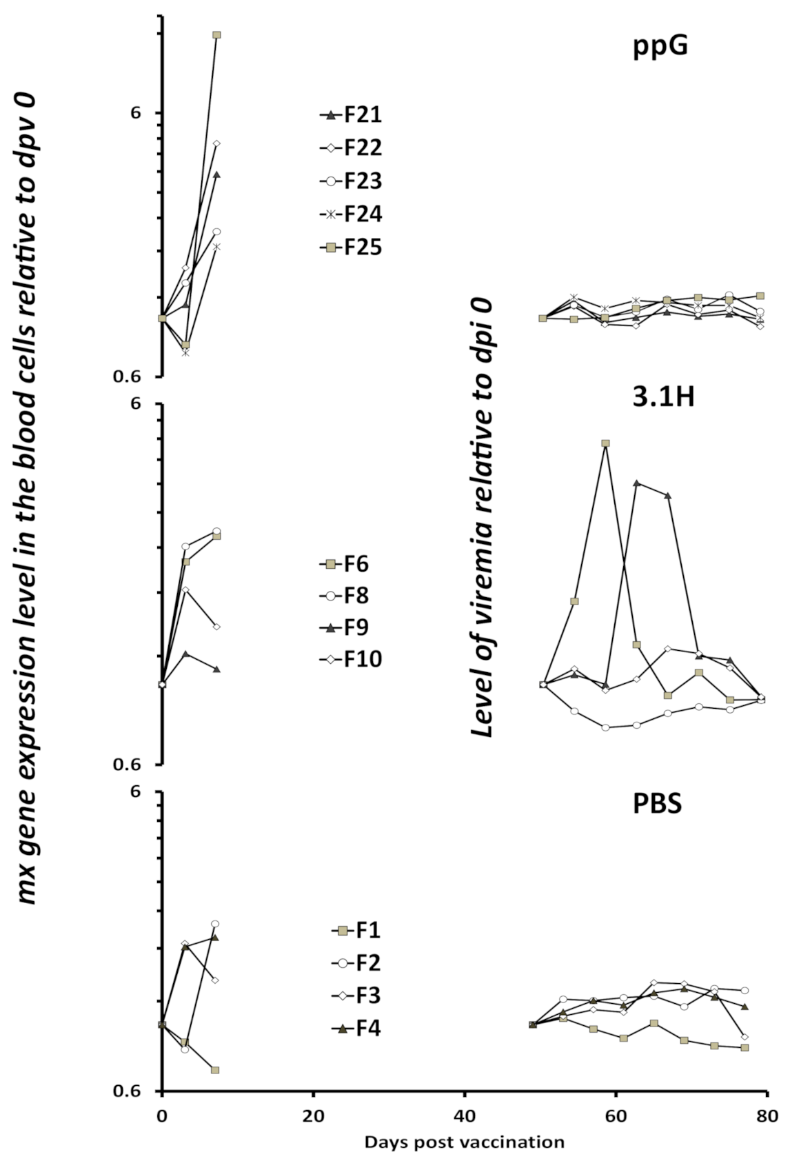 Vaccines 09 00163 g006 Vaccines 09 00163 g006