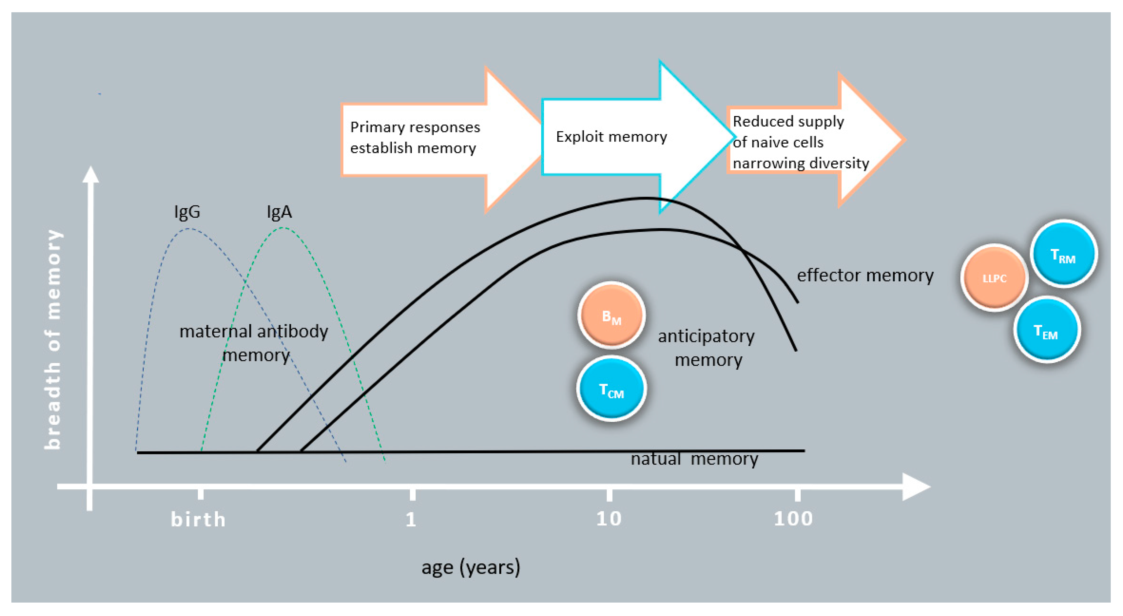 Vaccines 09 00174 g002
