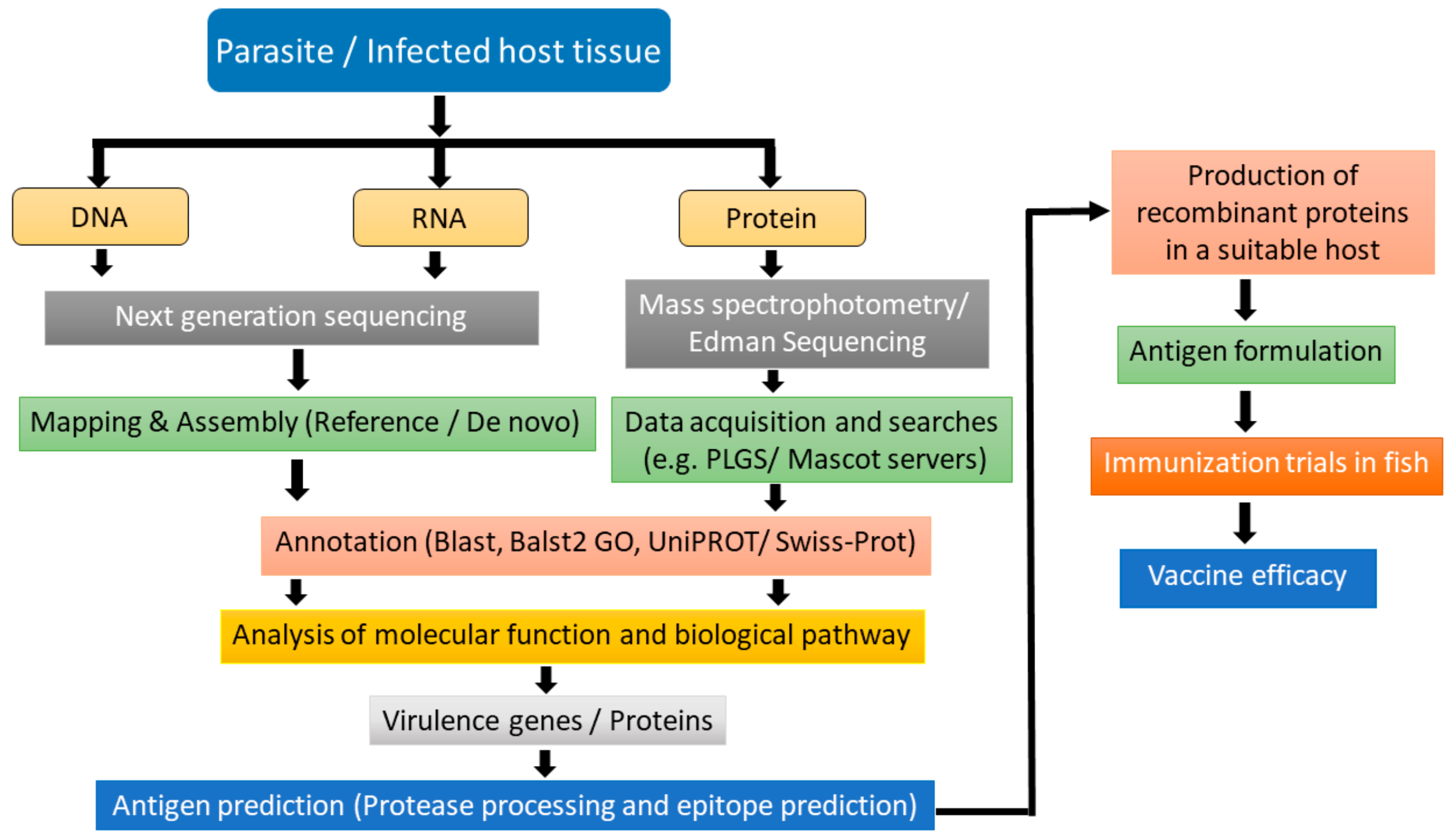 The role played by alternative splicing in antigenic variability in human  endo-parasites, Parasites & Vectors