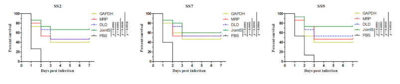 Vaccines 09 00184 g001