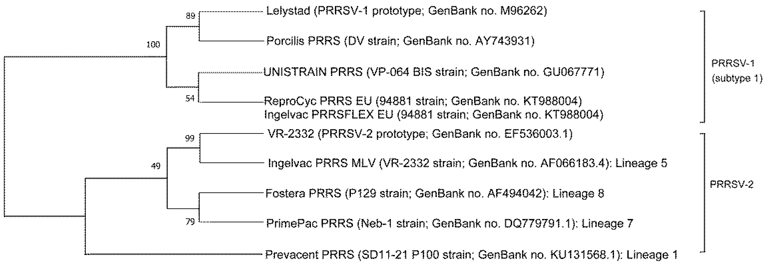 Vaccines 09 00185 g001 Vaccines 09 00185 g001