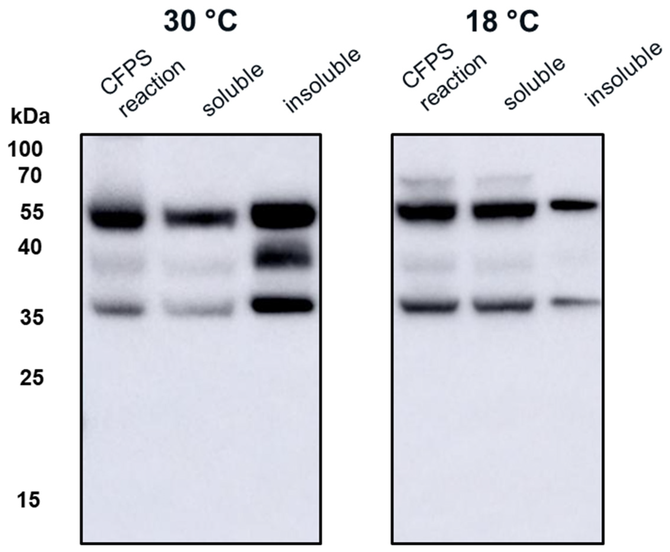 Vaccines 09 00193 g004