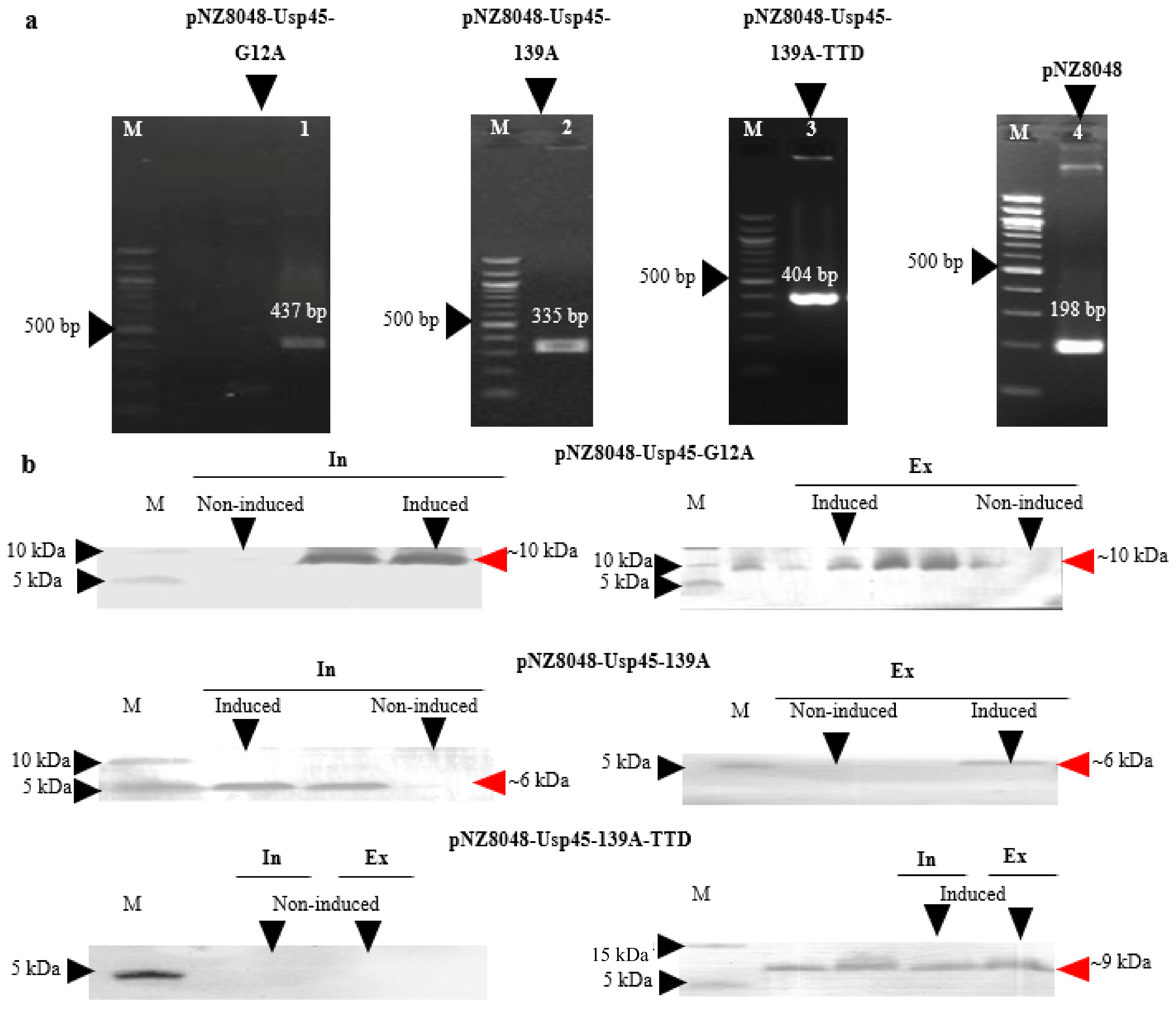 Vaccines 09 00195 g001