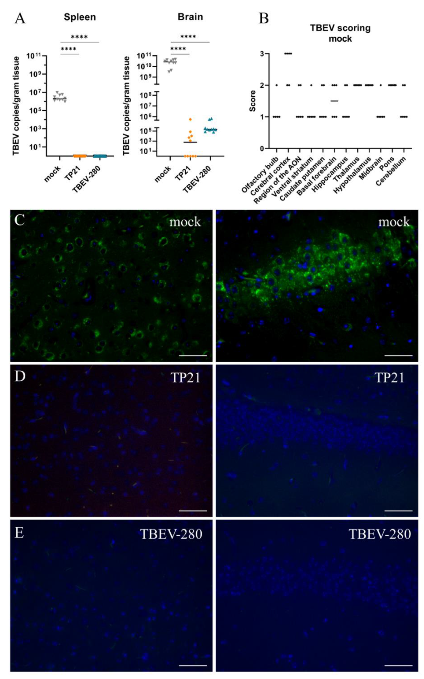 Vaccines 09 00196 g002