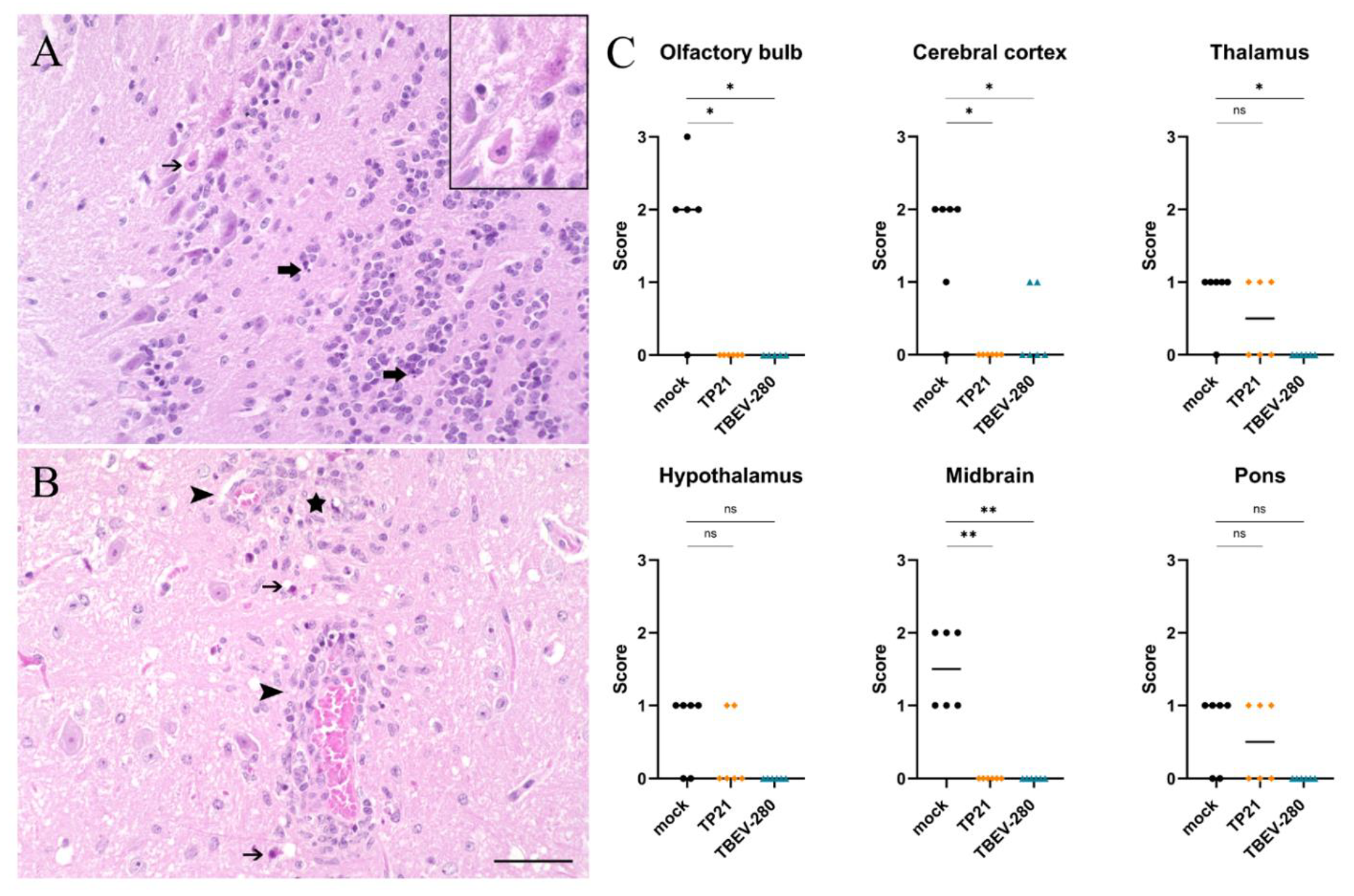 Vaccines 09 00196 g004