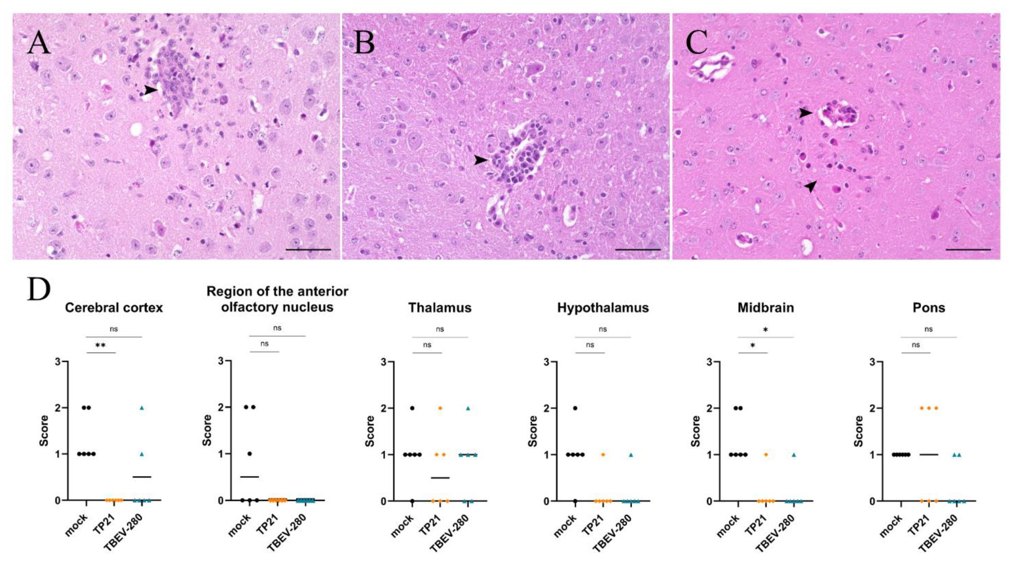 Vaccines 09 00196 g005