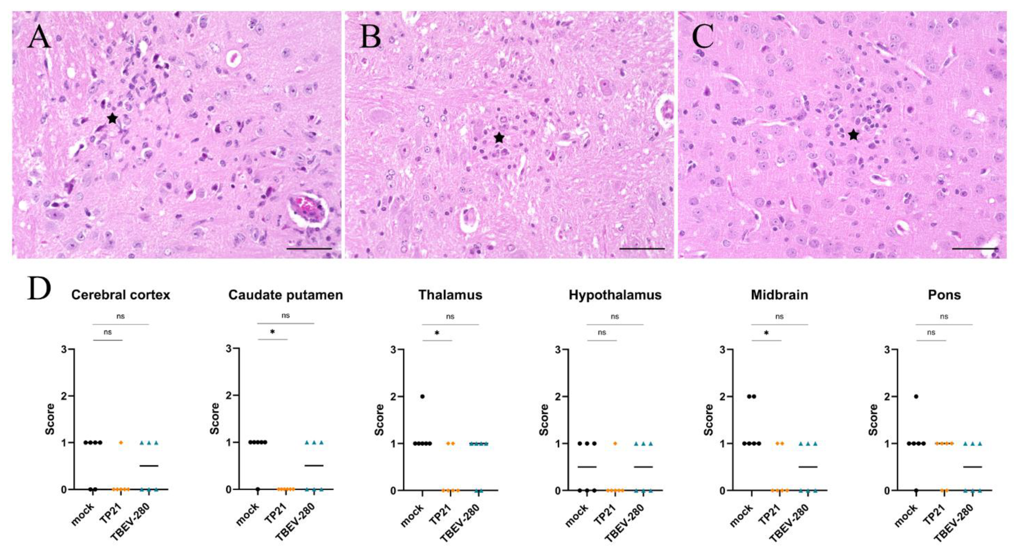 Vaccines 09 00196 g006