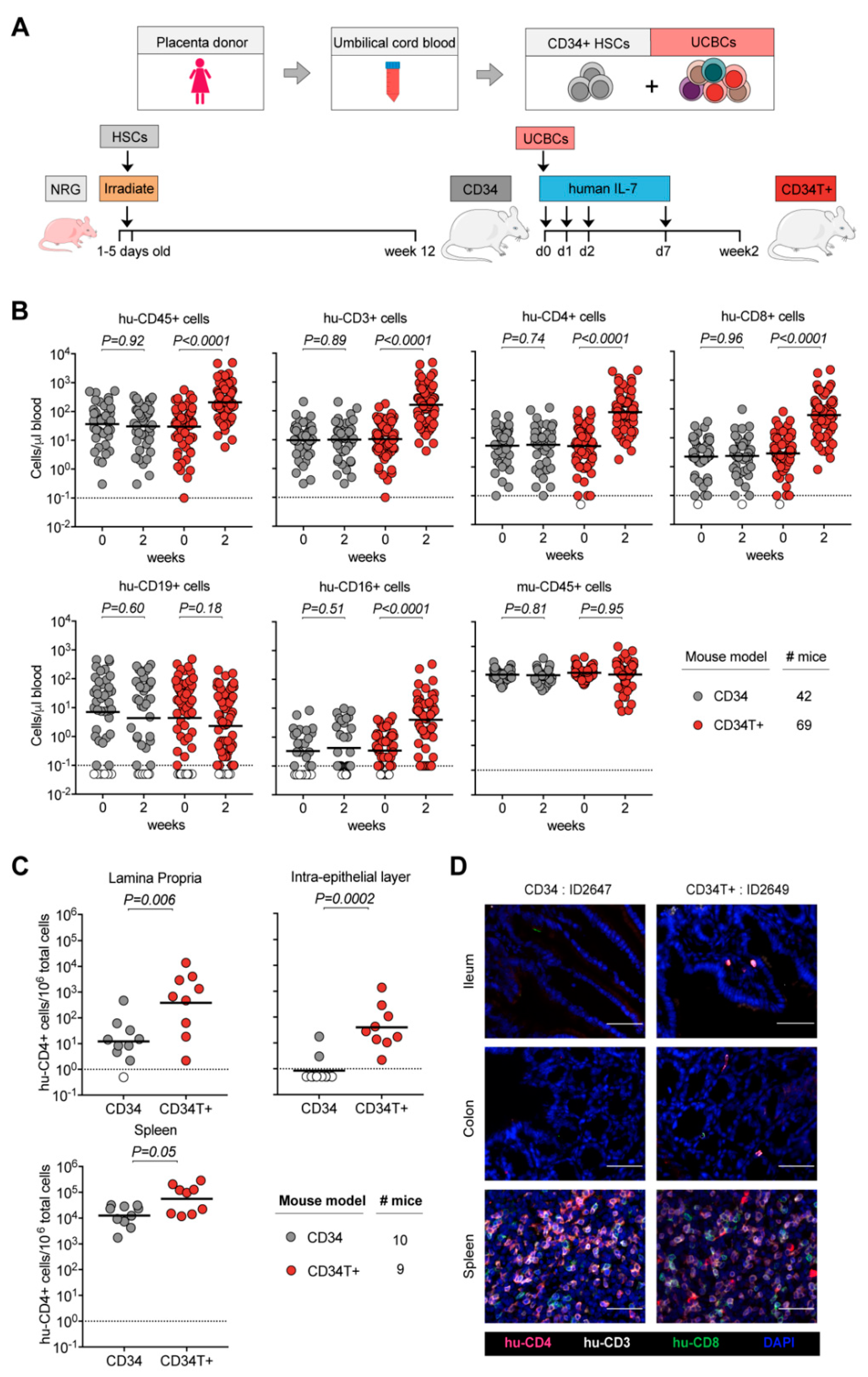 Vaccines 09 00198 g001