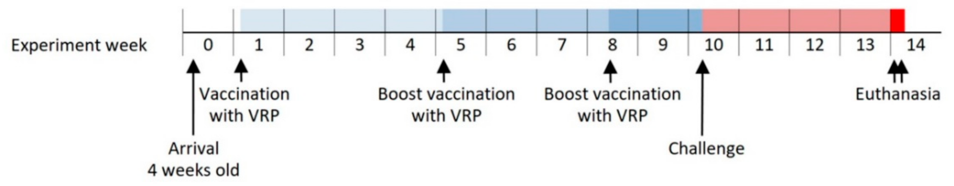 Vaccines 09 00208 g001 Vaccines 09 00208 g001