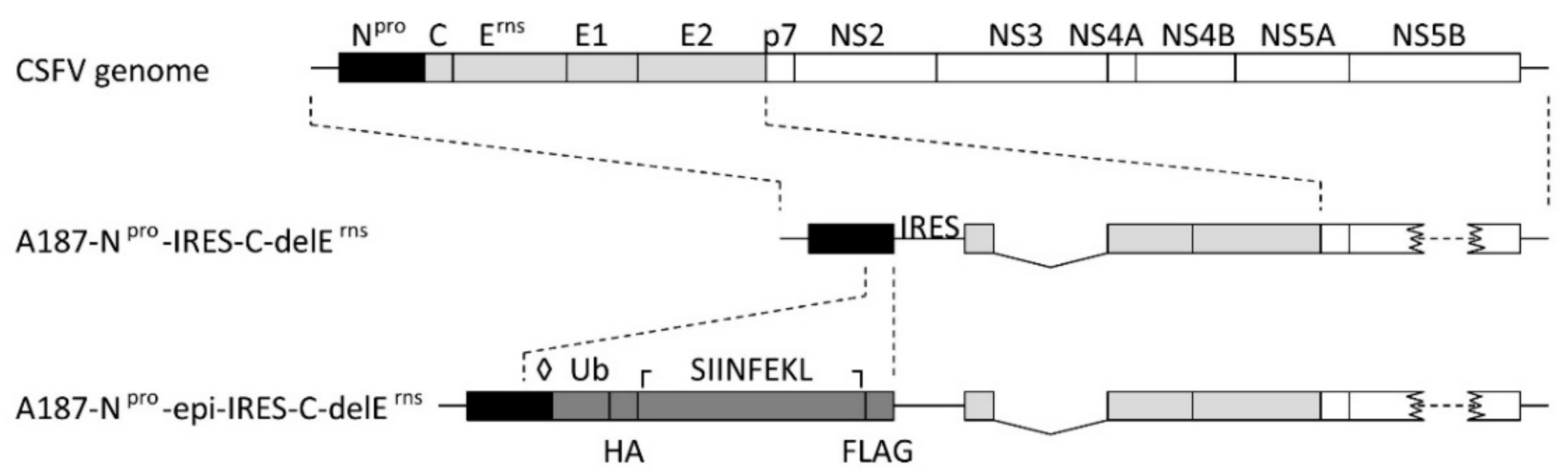 Vaccines 09 00208 g002 Vaccines 09 00208 g002