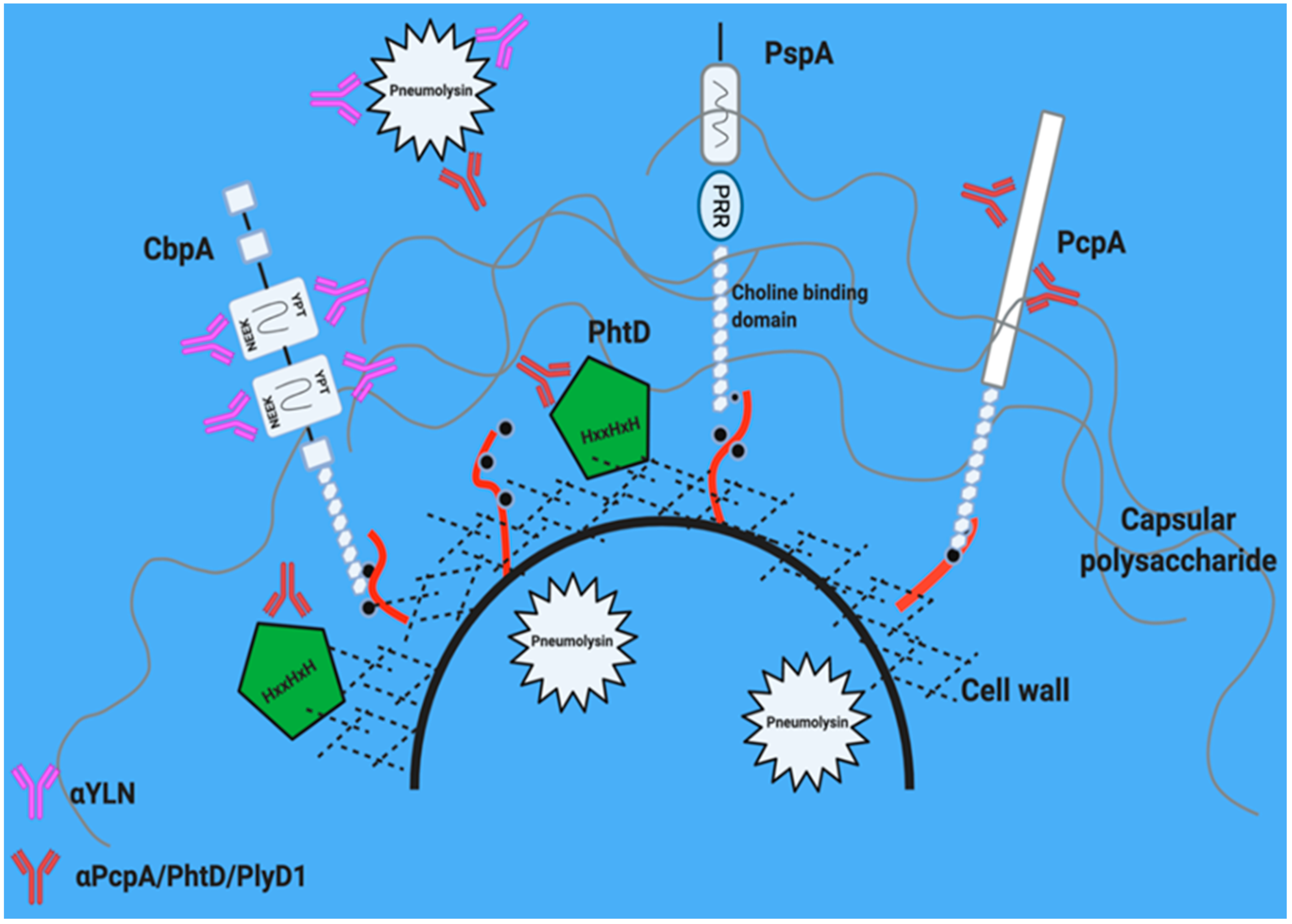Vaccines 09 00209 g002 Vaccines 09 00209 g002
