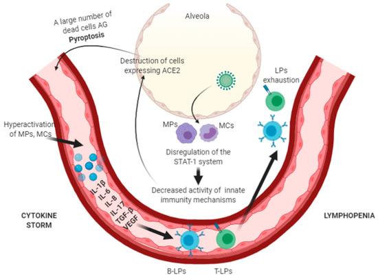 SciELO - Brasil - An immunogenetic view of COVID-19 An immunogenetic view  of COVID-19