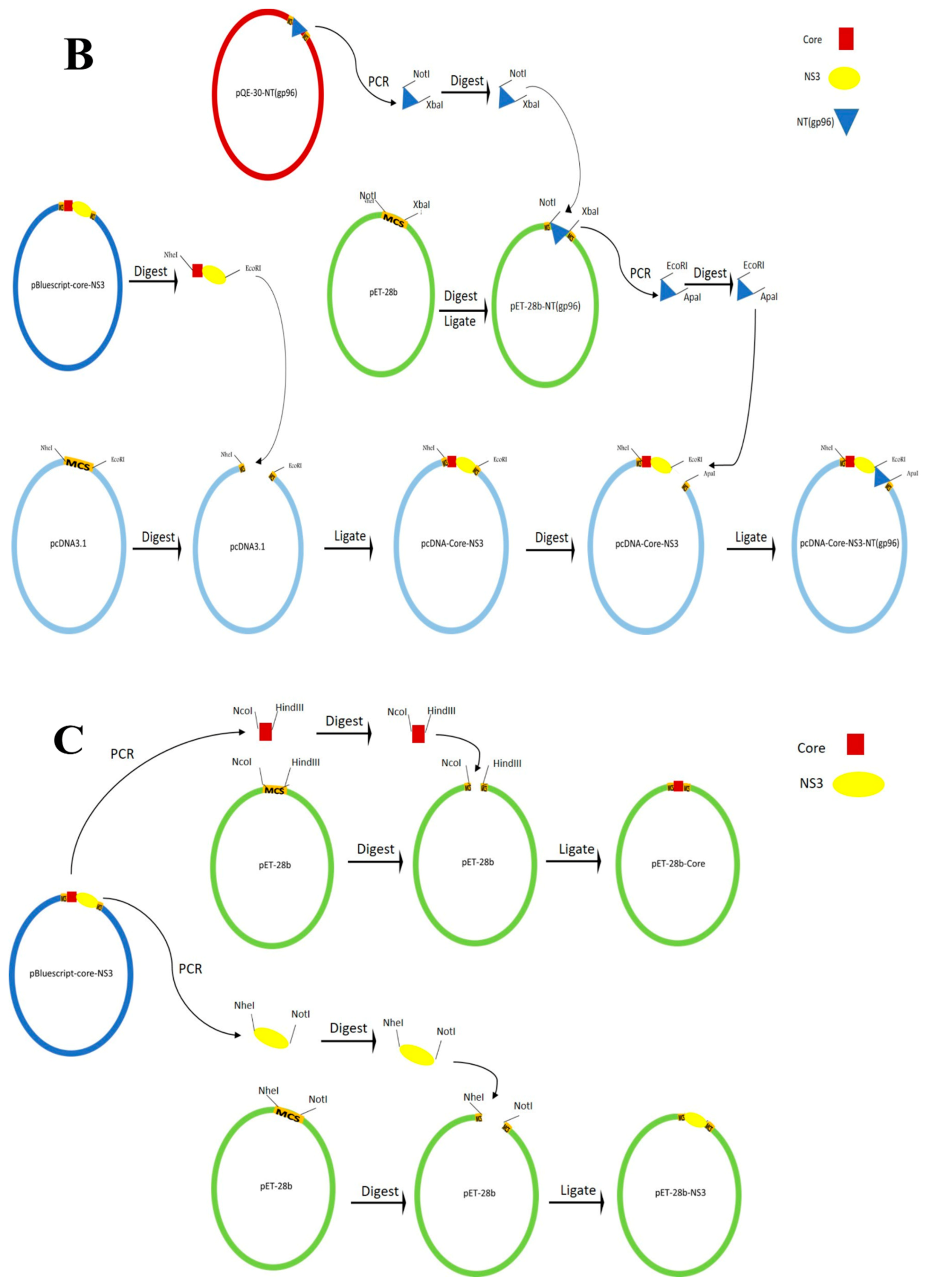 Vaccines 09 00215 g001b