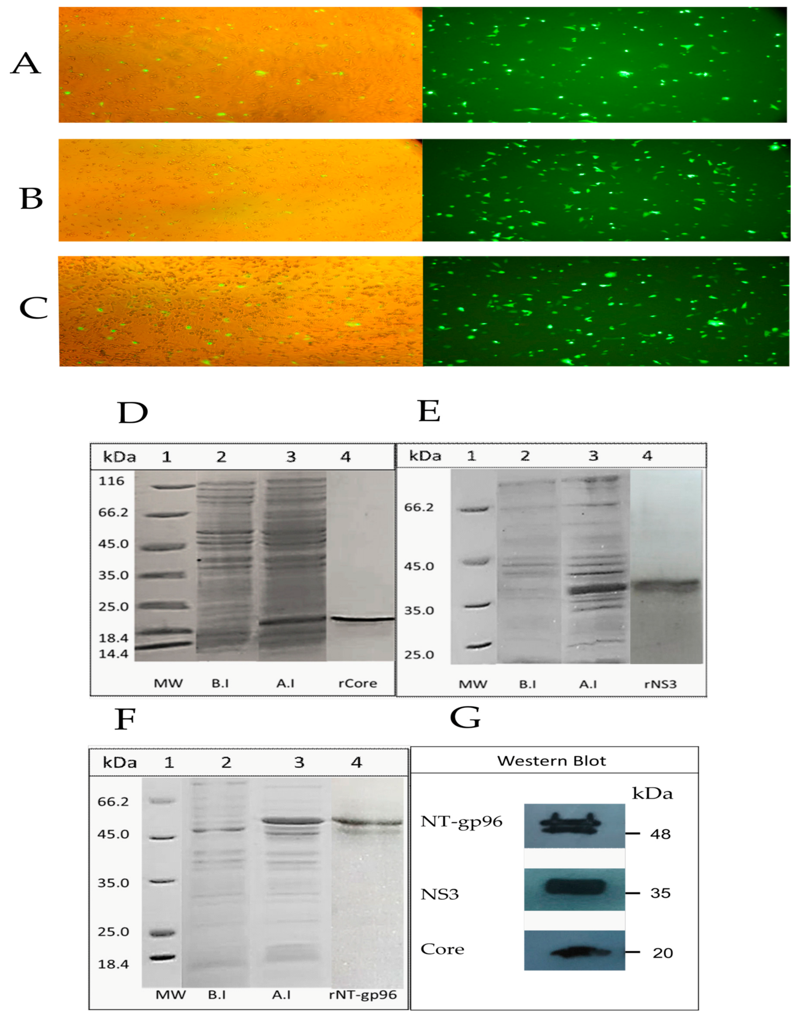 Vaccines 09 00215 g002