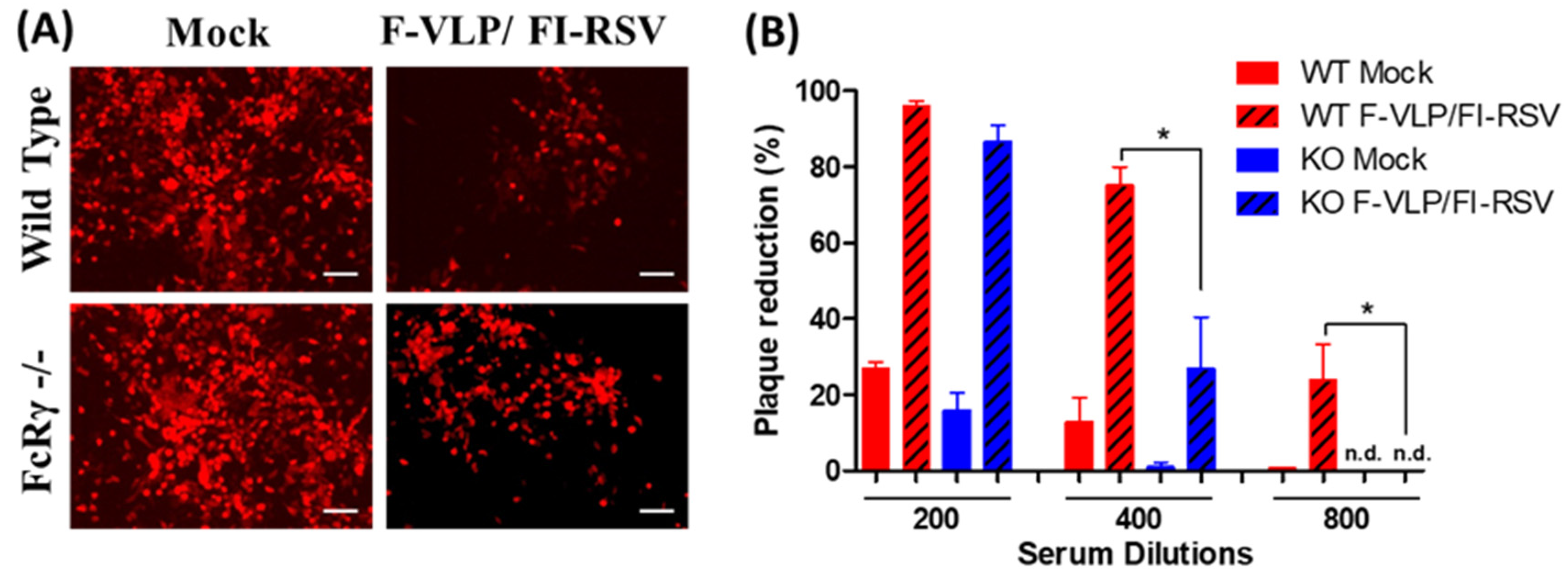 Vaccines 09 00232 g002 Vaccines 09 00232 g002