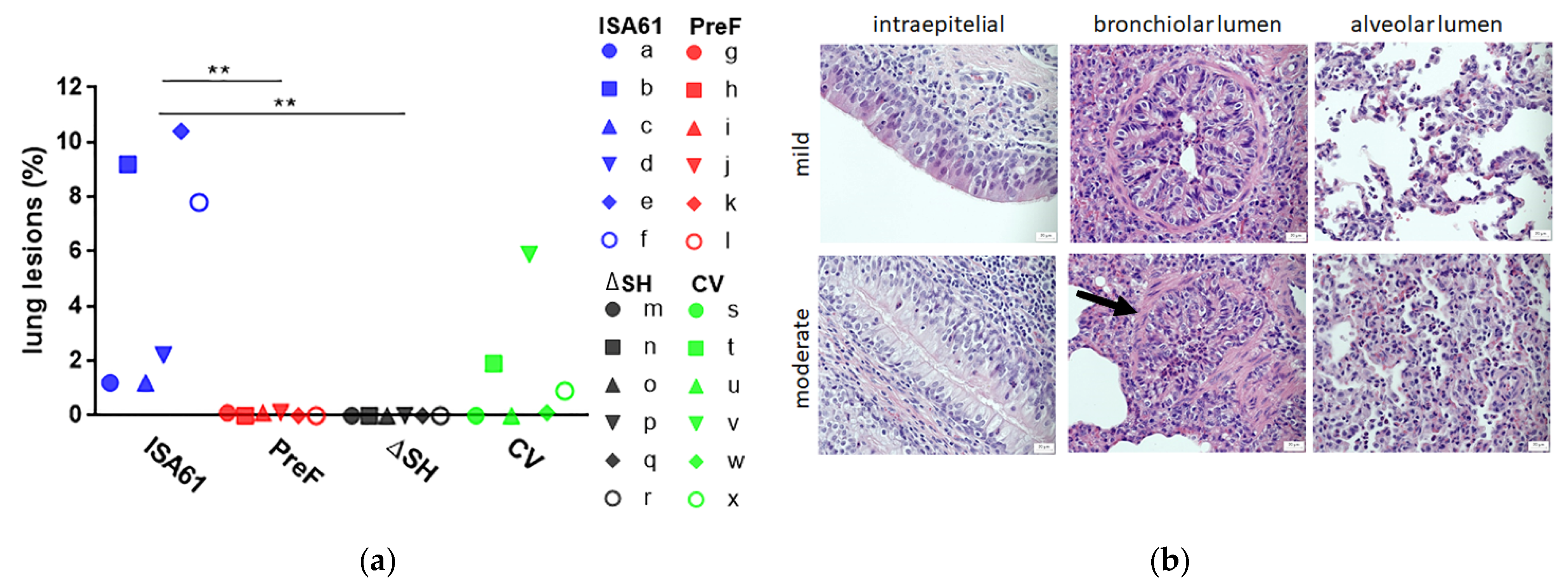 Vaccines 09 00236 g005 Vaccines 09 00236 g005