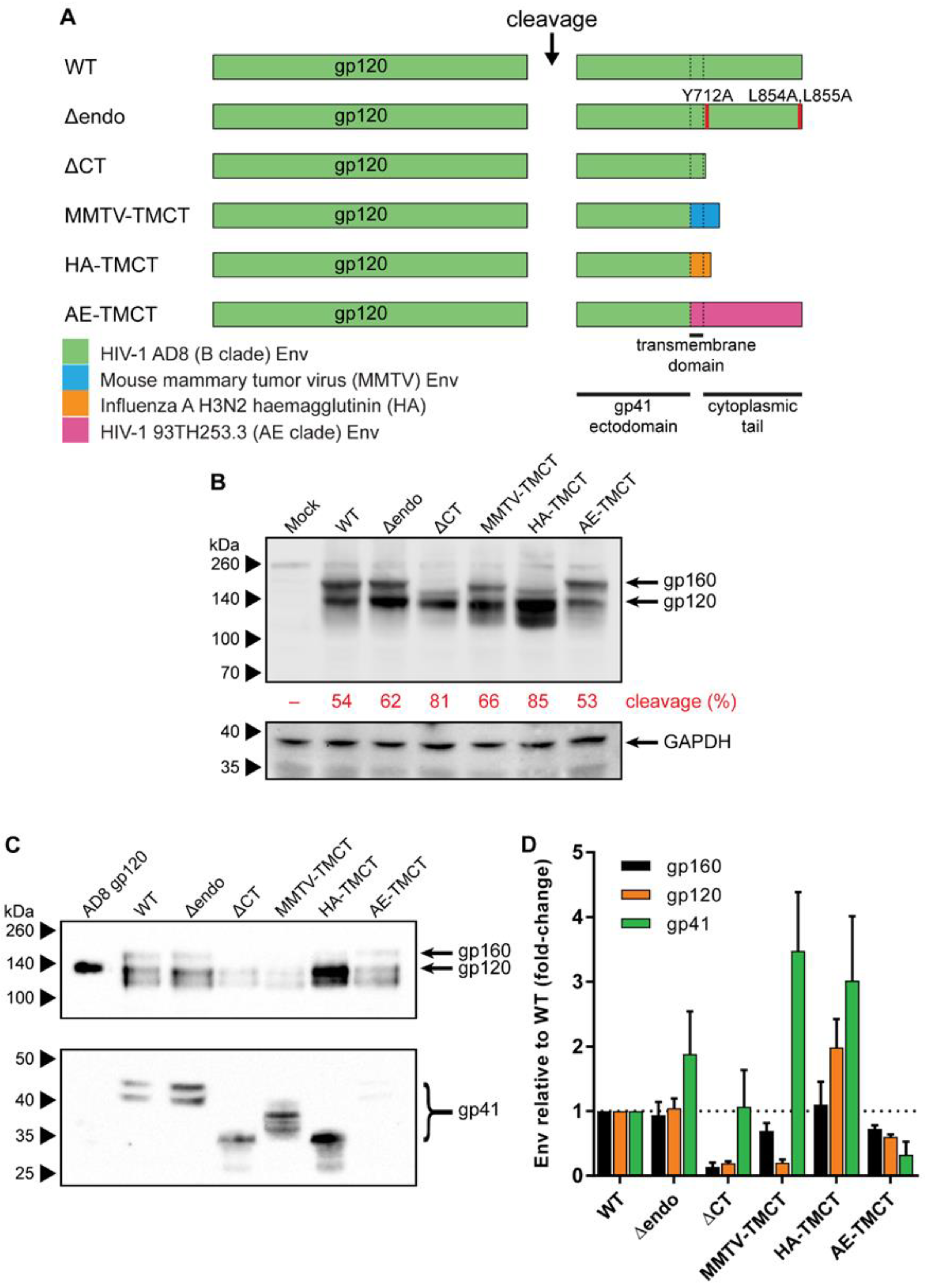 Vaccines 09 00239 g001 Vaccines 09 00239 g001