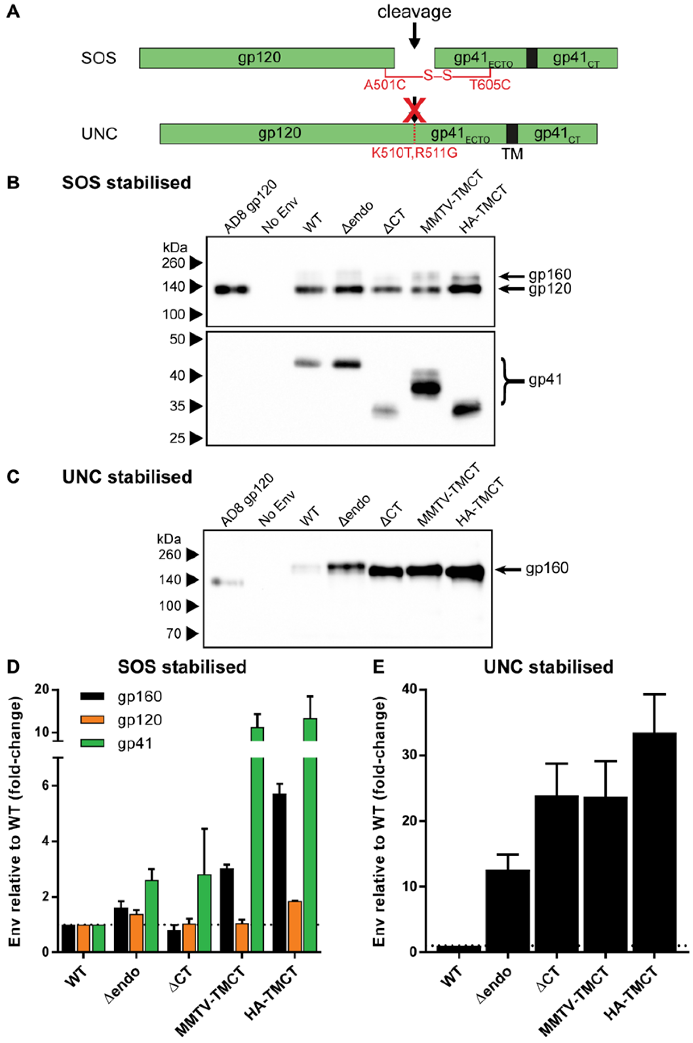 Vaccines 09 00239 g002 Vaccines 09 00239 g002