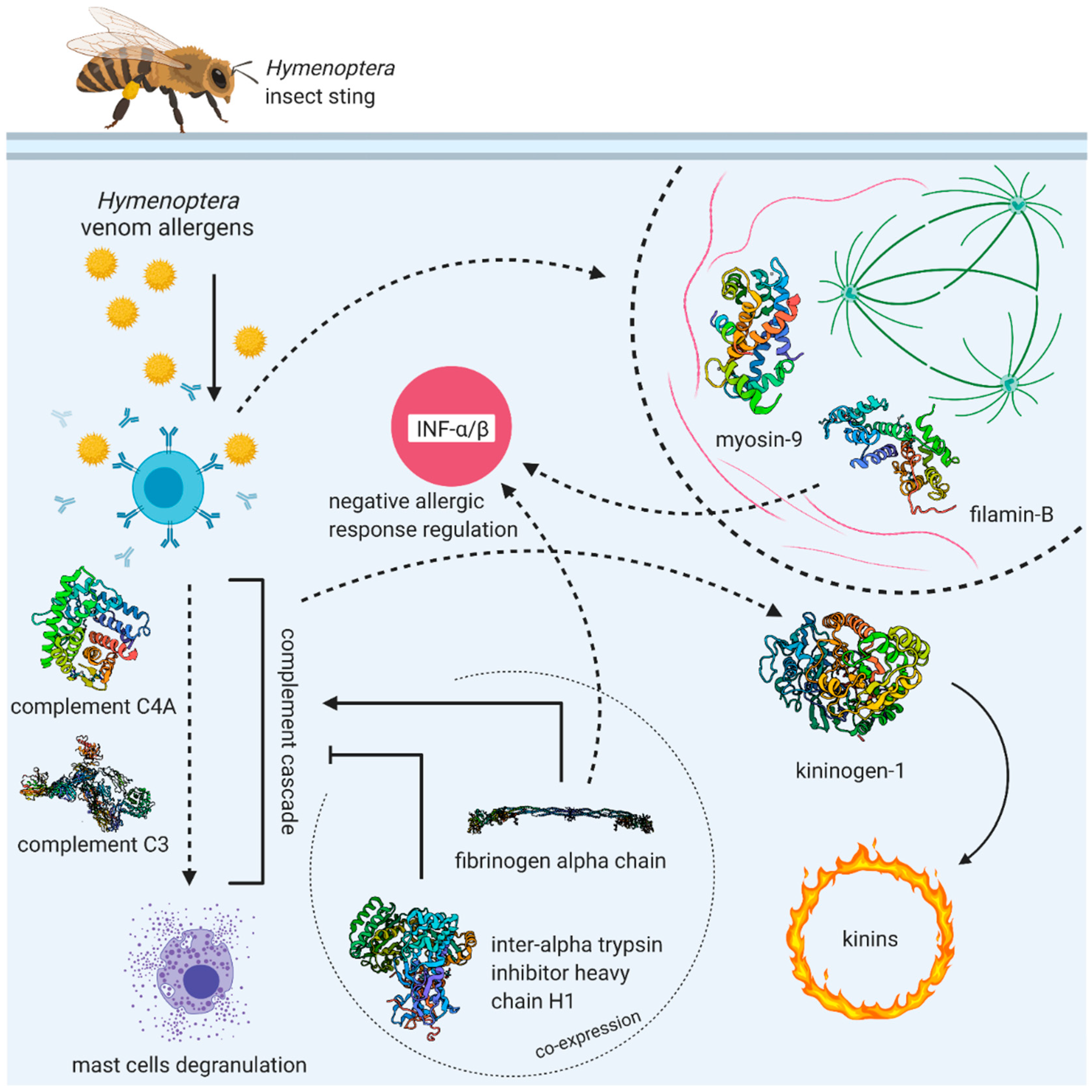 Vaccines 09 00249 g003 Vaccines 09 00249 g003