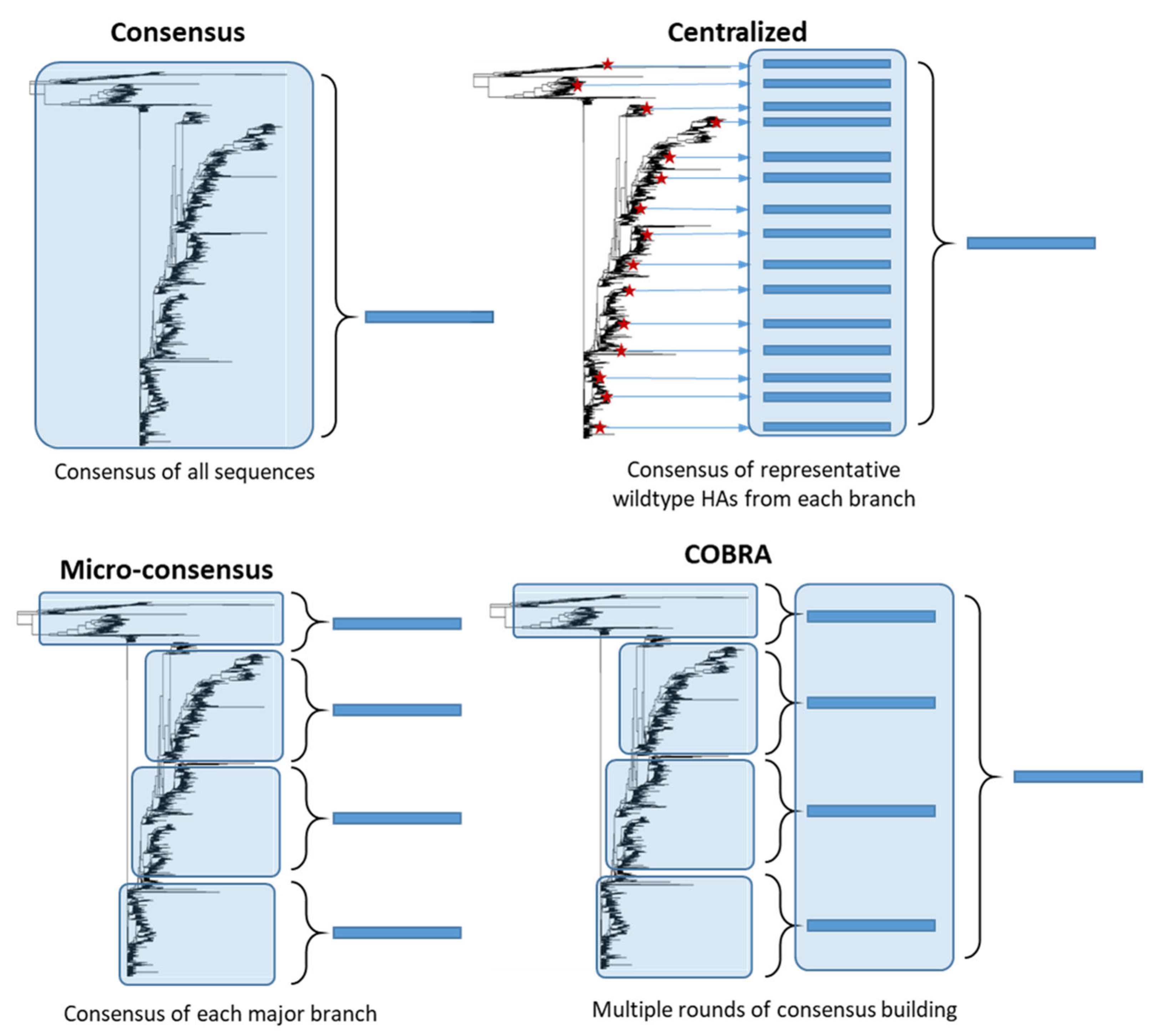 Vaccines 09 00257 g005