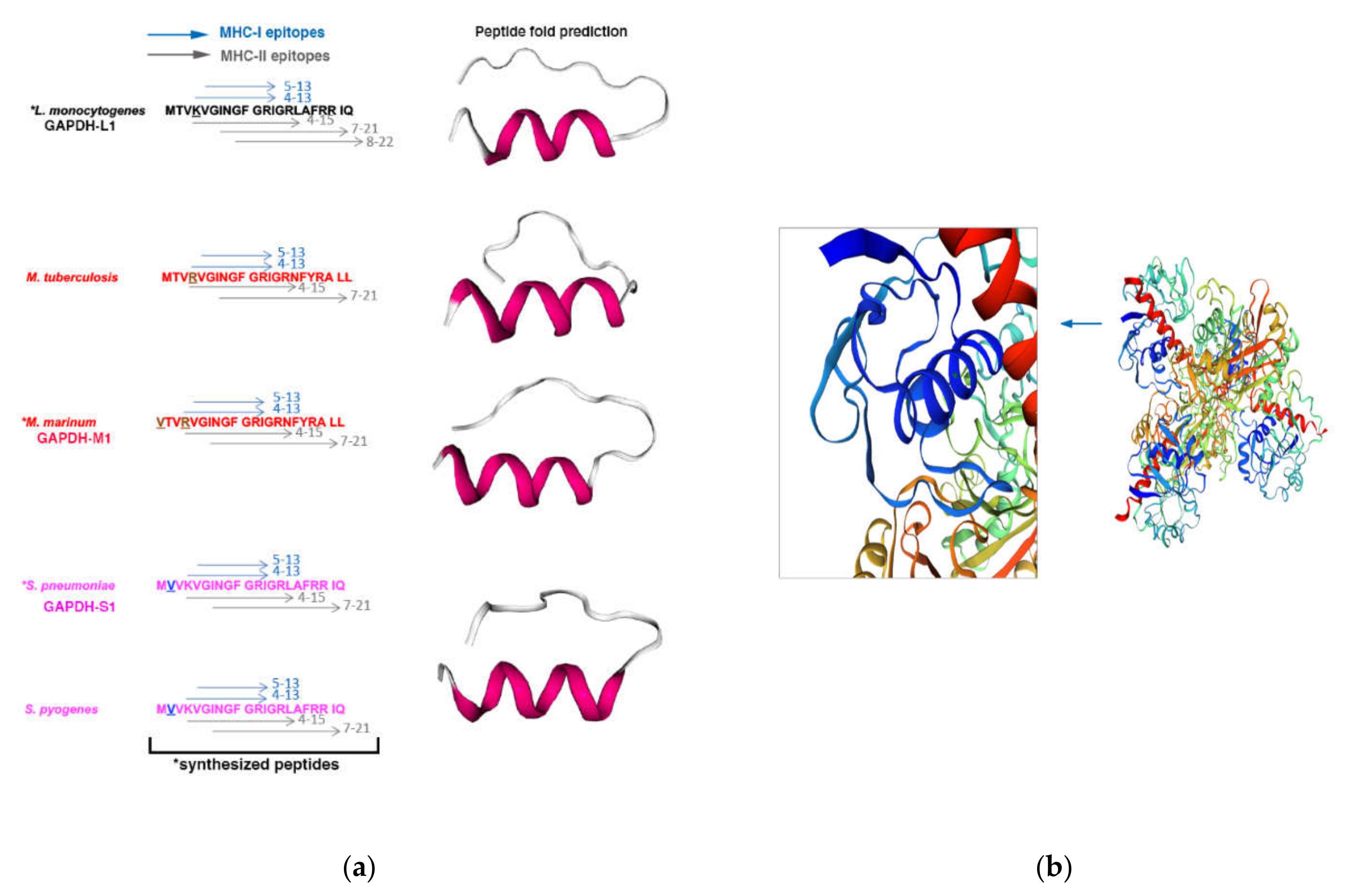 Vaccines 09 00269 g001 Vaccines 09 00269 g001