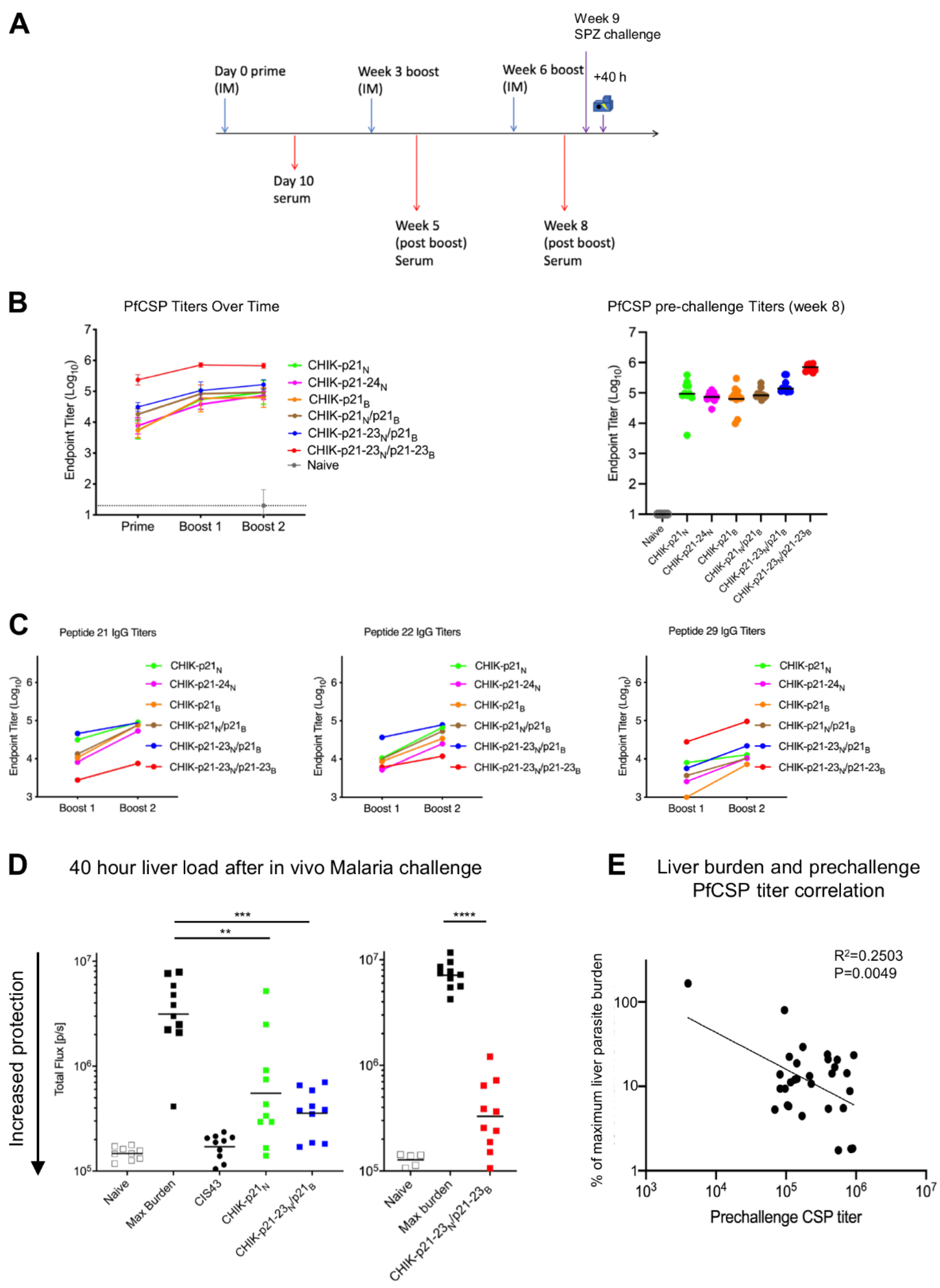 Vaccines 09 00272 g003