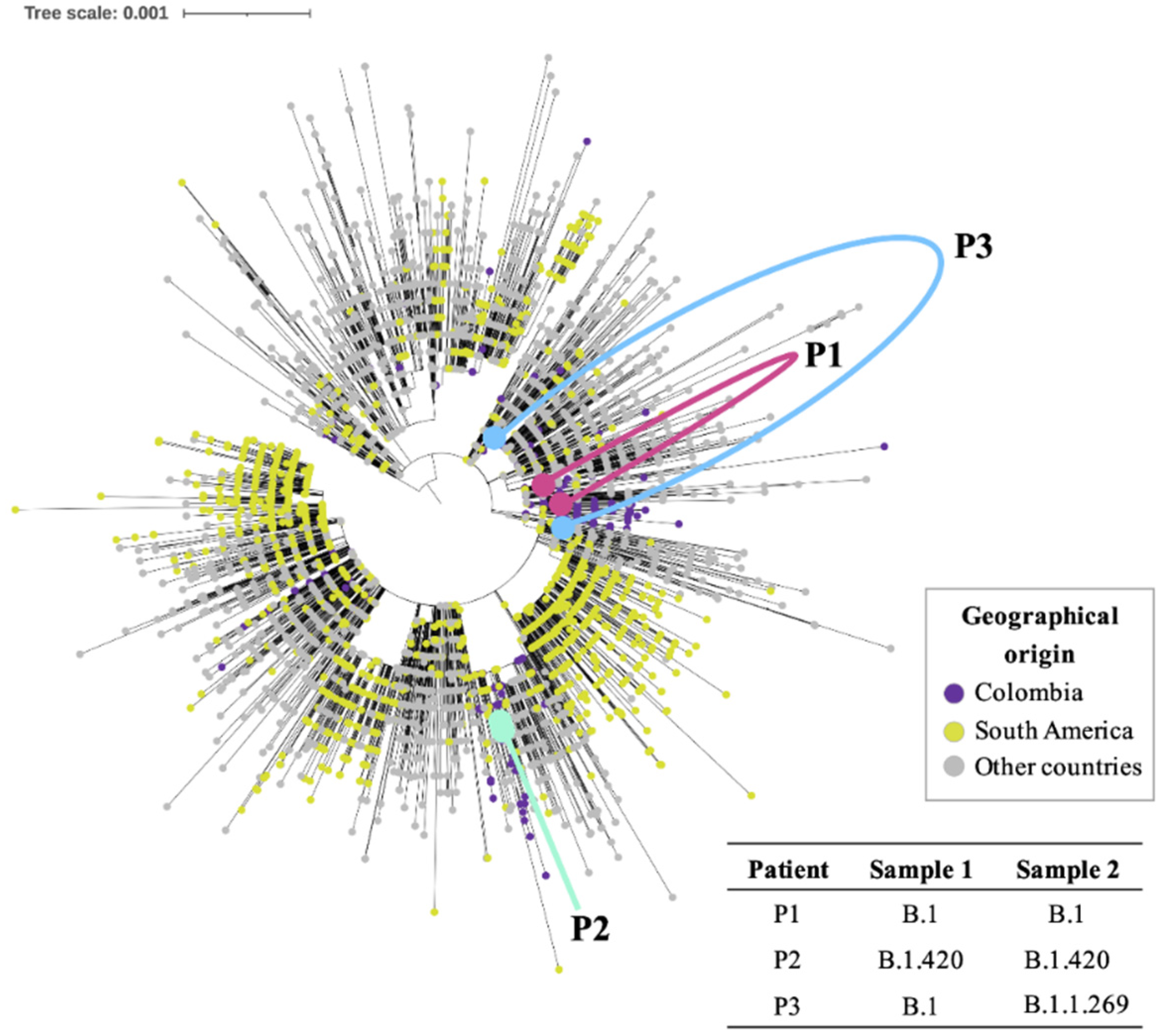 Vaccines 09 00282 g002 Vaccines 09 00282 g002