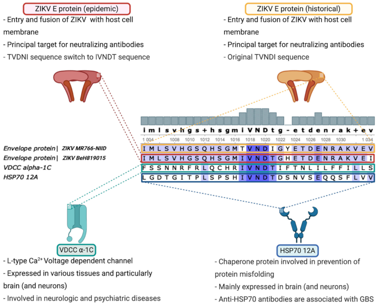 Vaccines 09 00283 g001